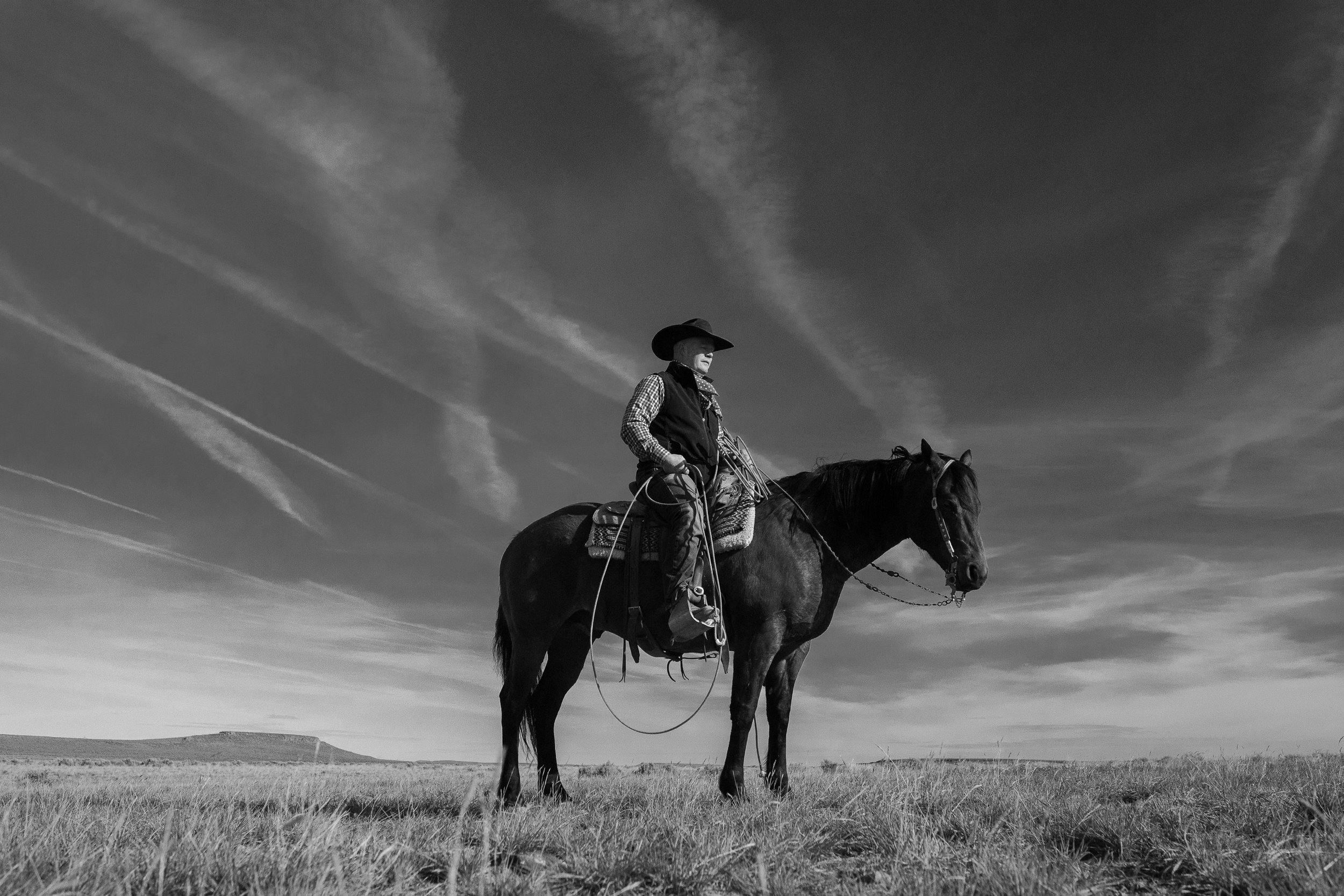 Cowboy-09026.jpg