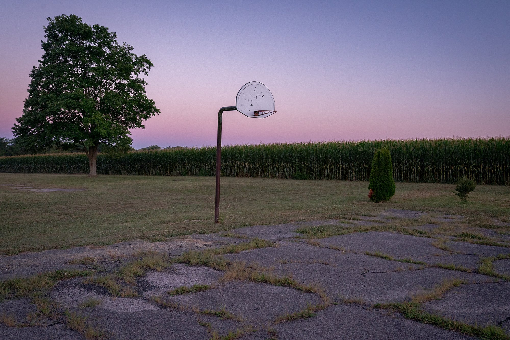  Photograph of a basketball hoop at sunset next to a corn field in America 