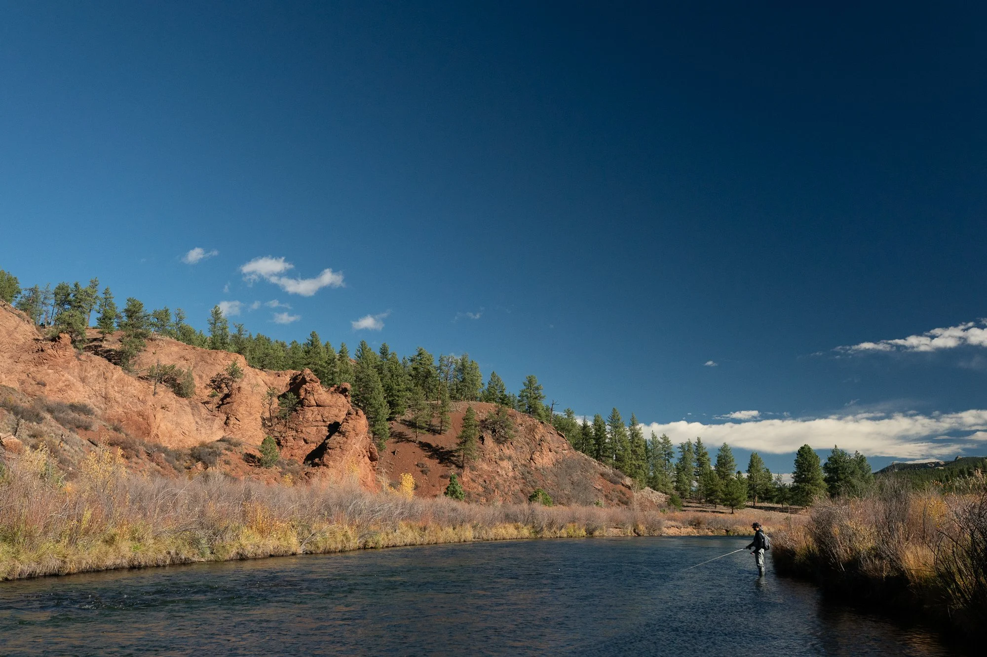 Chama-06094.jpg