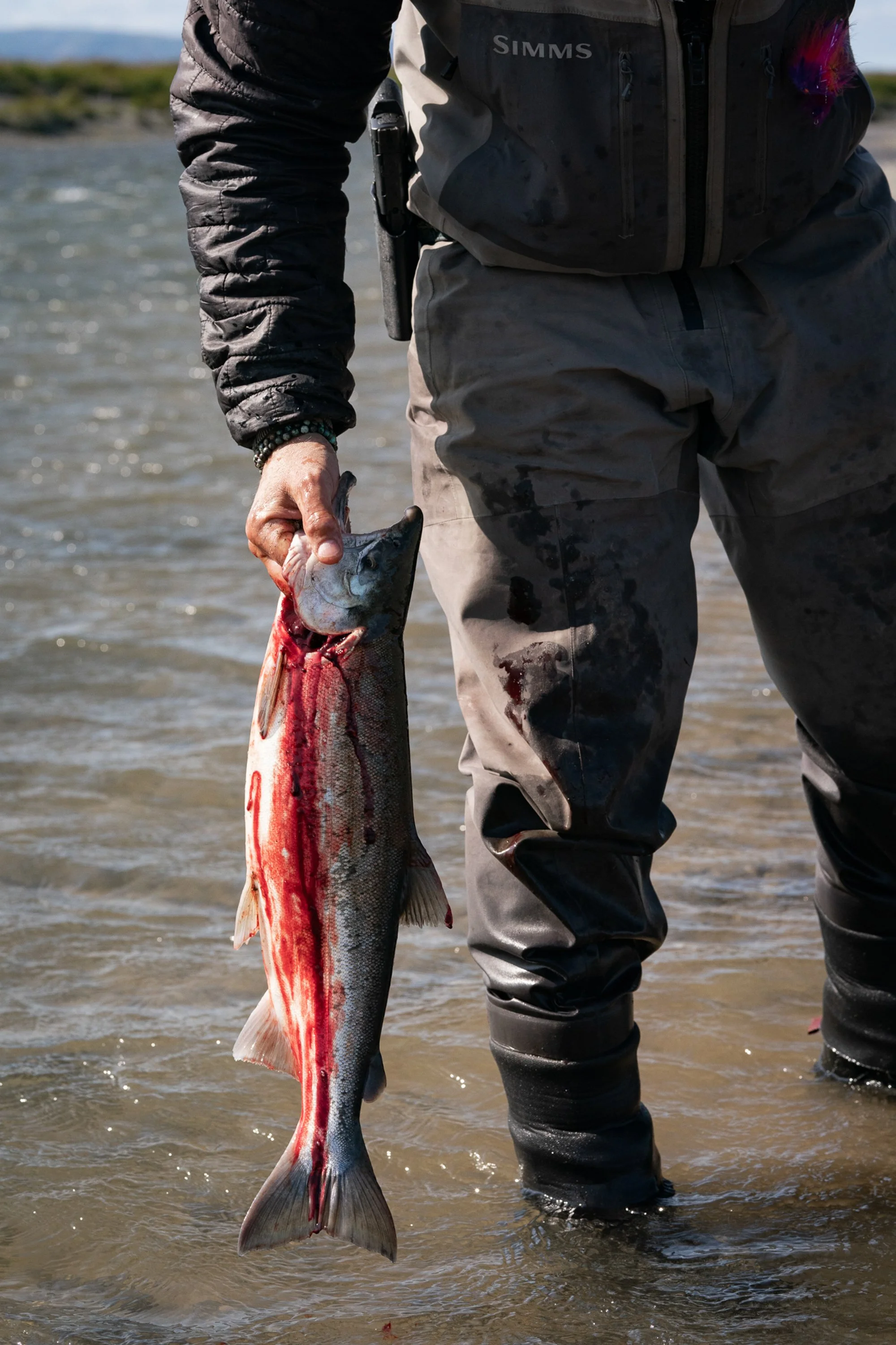 Angler holding a silver salmon while standing in an Alaskan river
