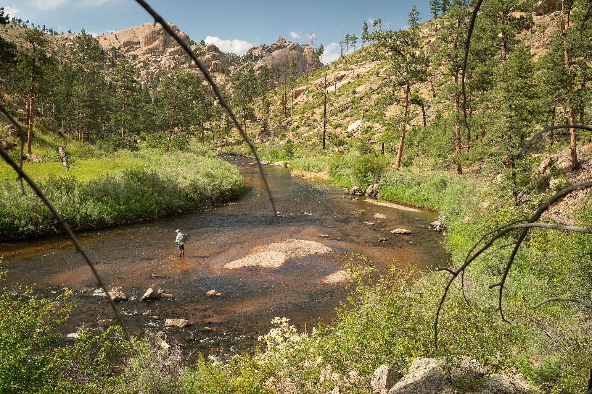 A fly angler stands in a wide river surrounded by trees, rocks, and canyon walls