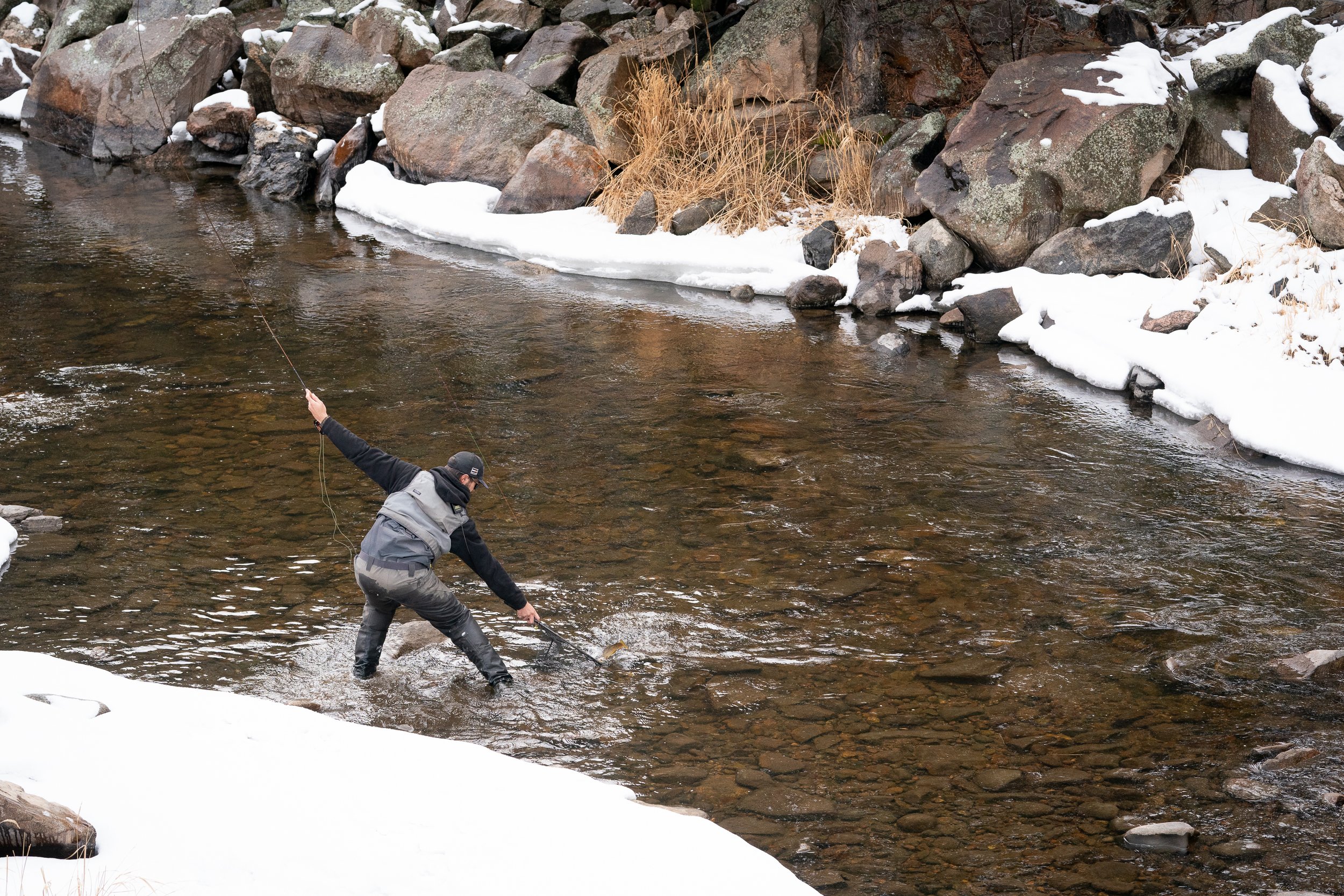 Photograph of a fly fisherman netting a trout in Estes Park, Colorado