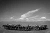 Photographs of buckaroos working on The Spanish Ranch in Tuscarora ...