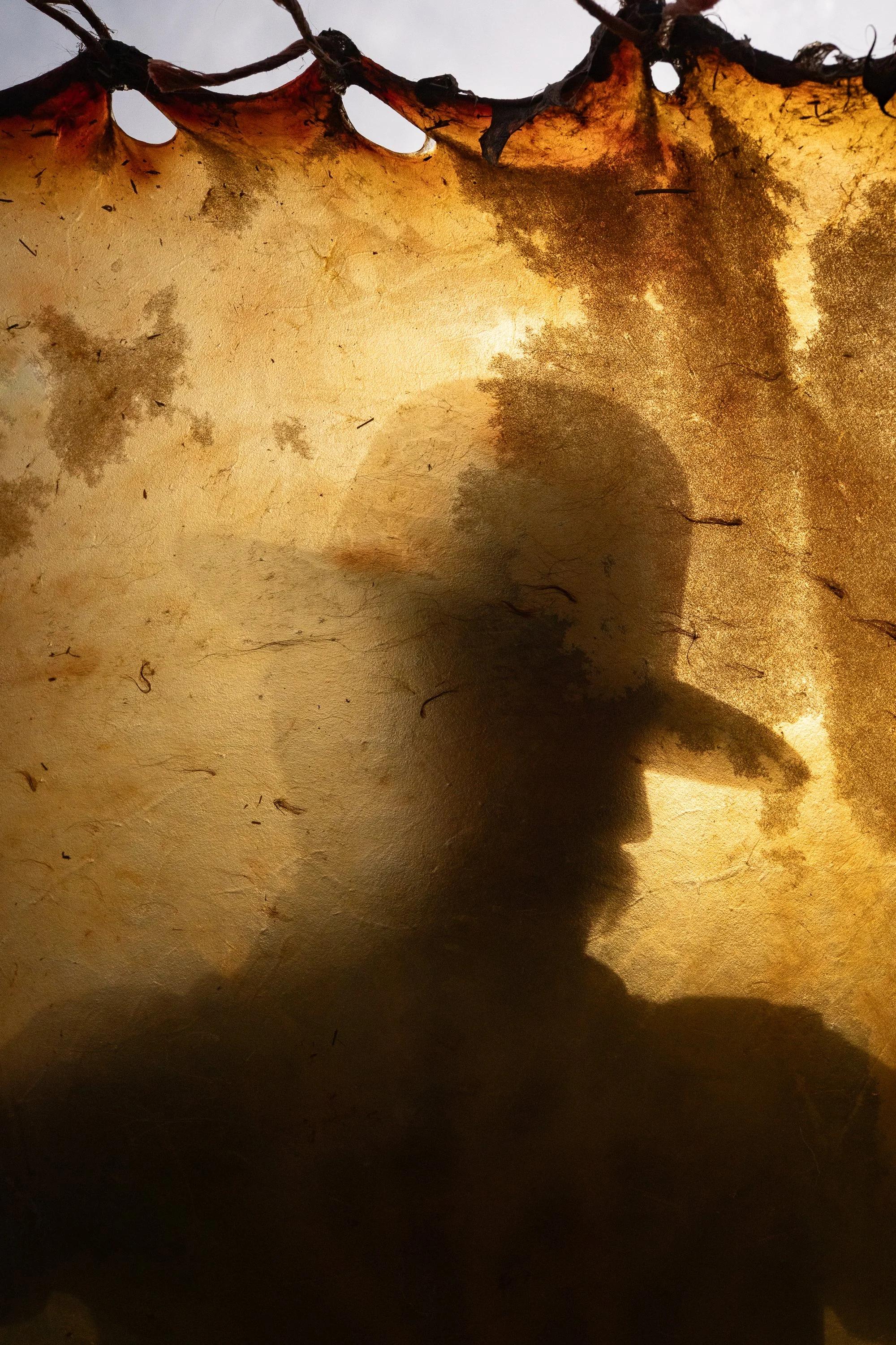 The silhouette of Dakota May is visible behind a prepared rawhide hide as he cuts long, continuous strands for braiding