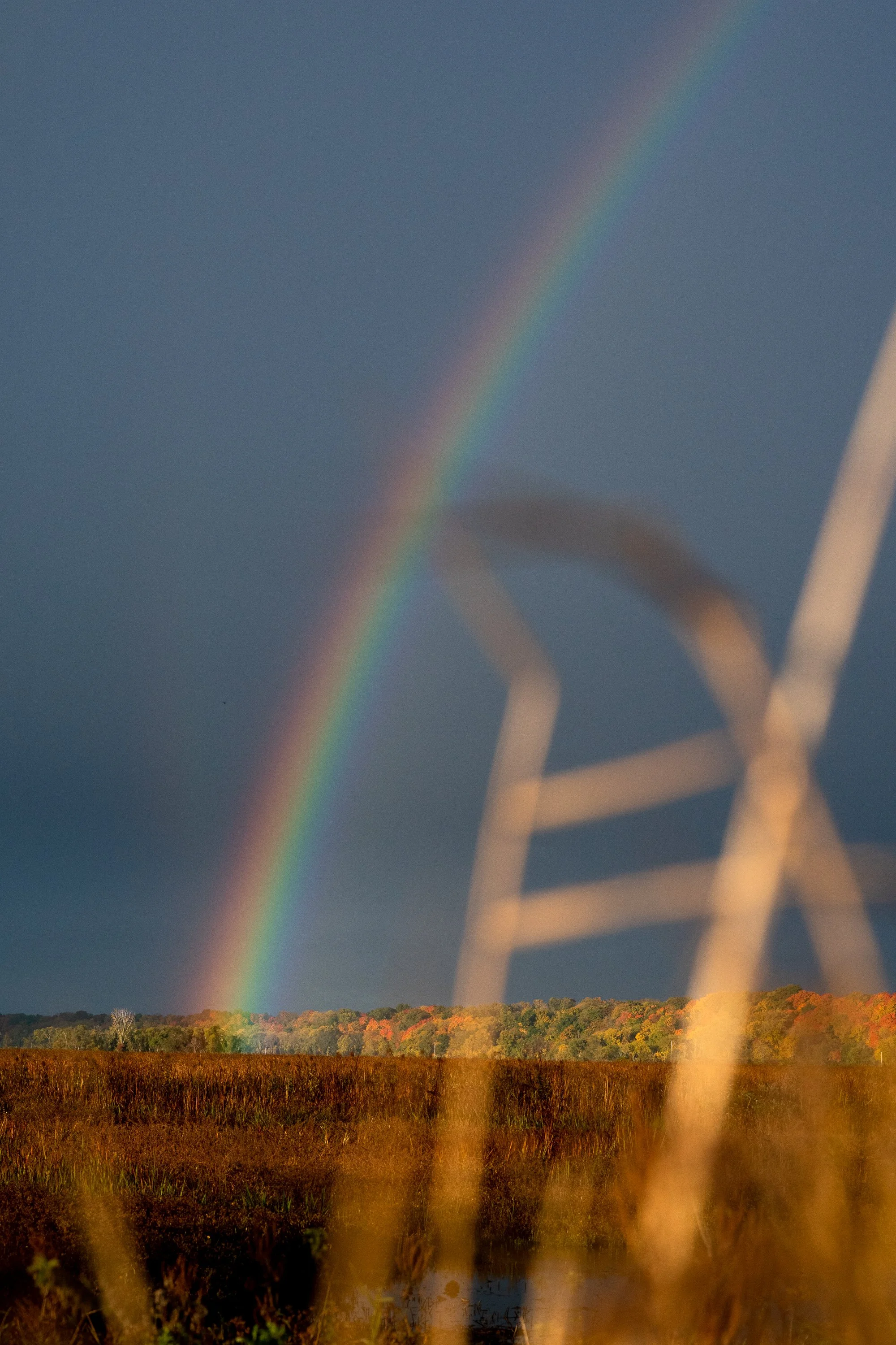 A rainbow appears above marshland during duck hunting season in Ontario