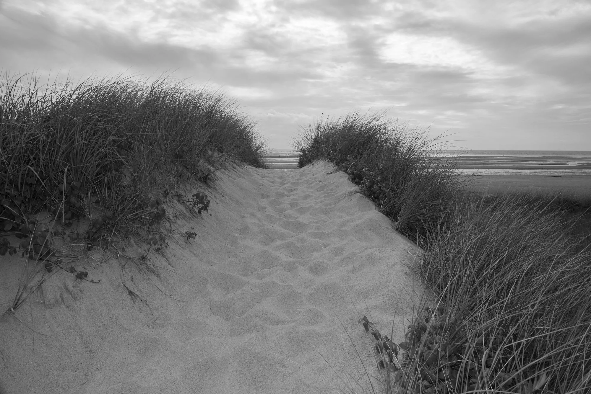 Sandy path through grass dunes leading to First Encounter Beach on Cape Cod in black and white