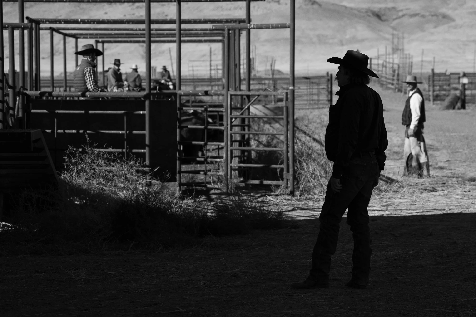 Cowboy standing and observing cattle work in ranch pens at TS Ranch
