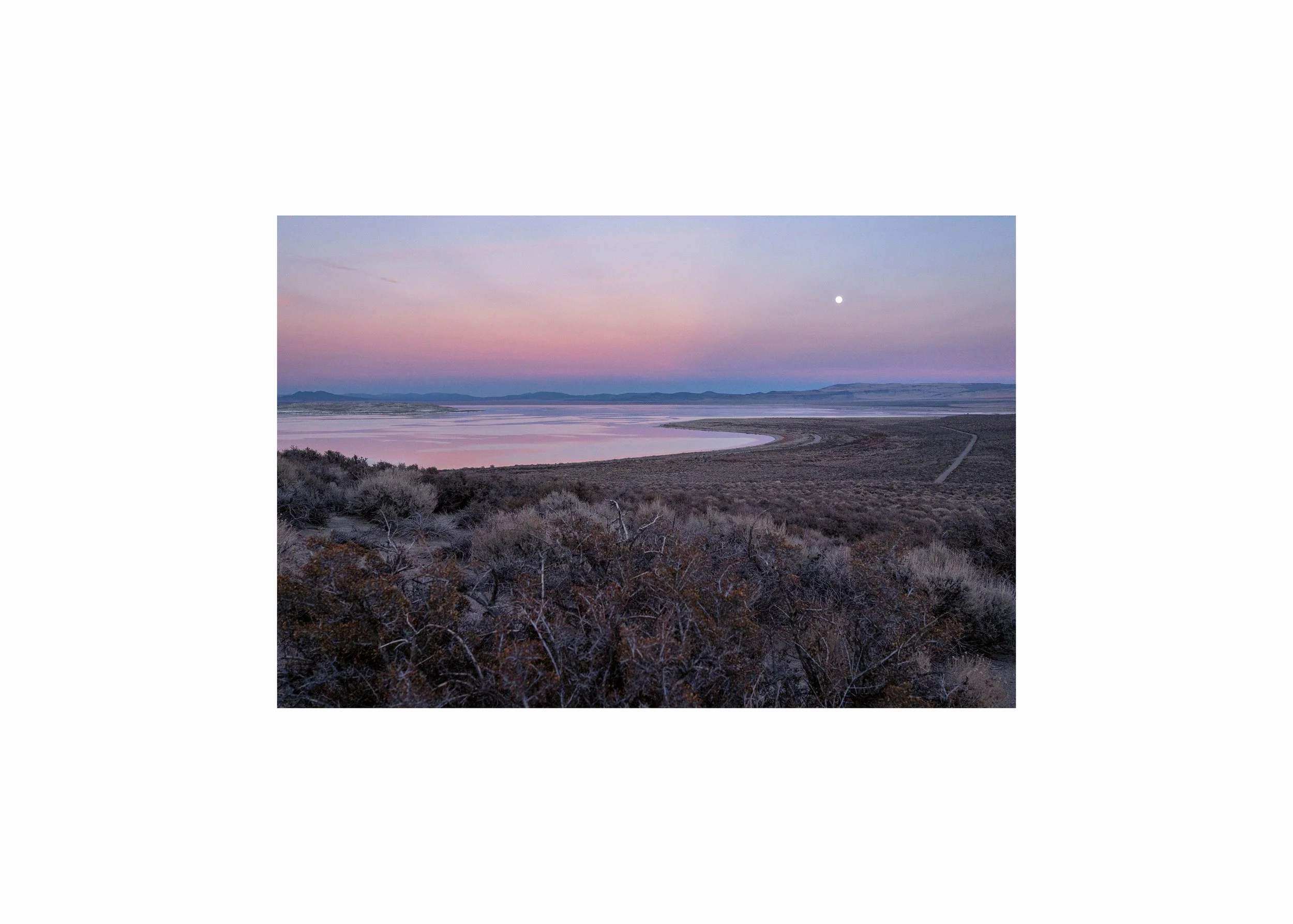 Pastel pink sunset reflecting on the calm waters of Mono Lake with desert sagebrush in the foreground.