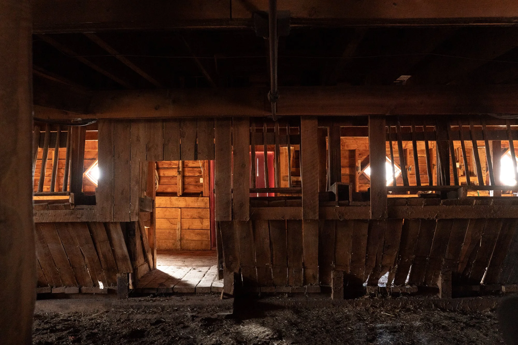 Interior of a historic ranch barn showing rough wooden livestock stalls, heavy support beams, plank partitions and small windows that let light into the structure.