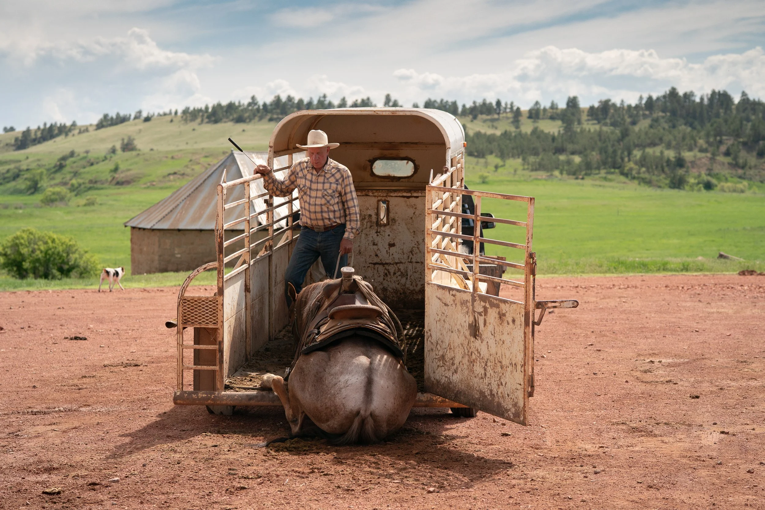 Horse sitting down inside a trailer while Buck Brannaman stands nearby during training in Montana