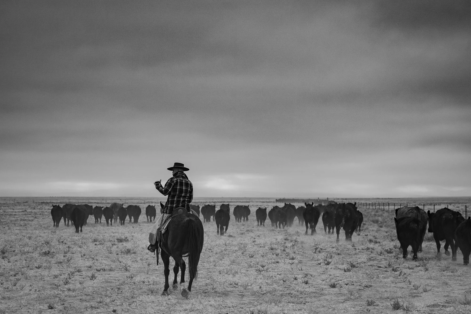 Cowboy photography in northern Nevada - Buckaroo - Cattle Ranch - Wall ...