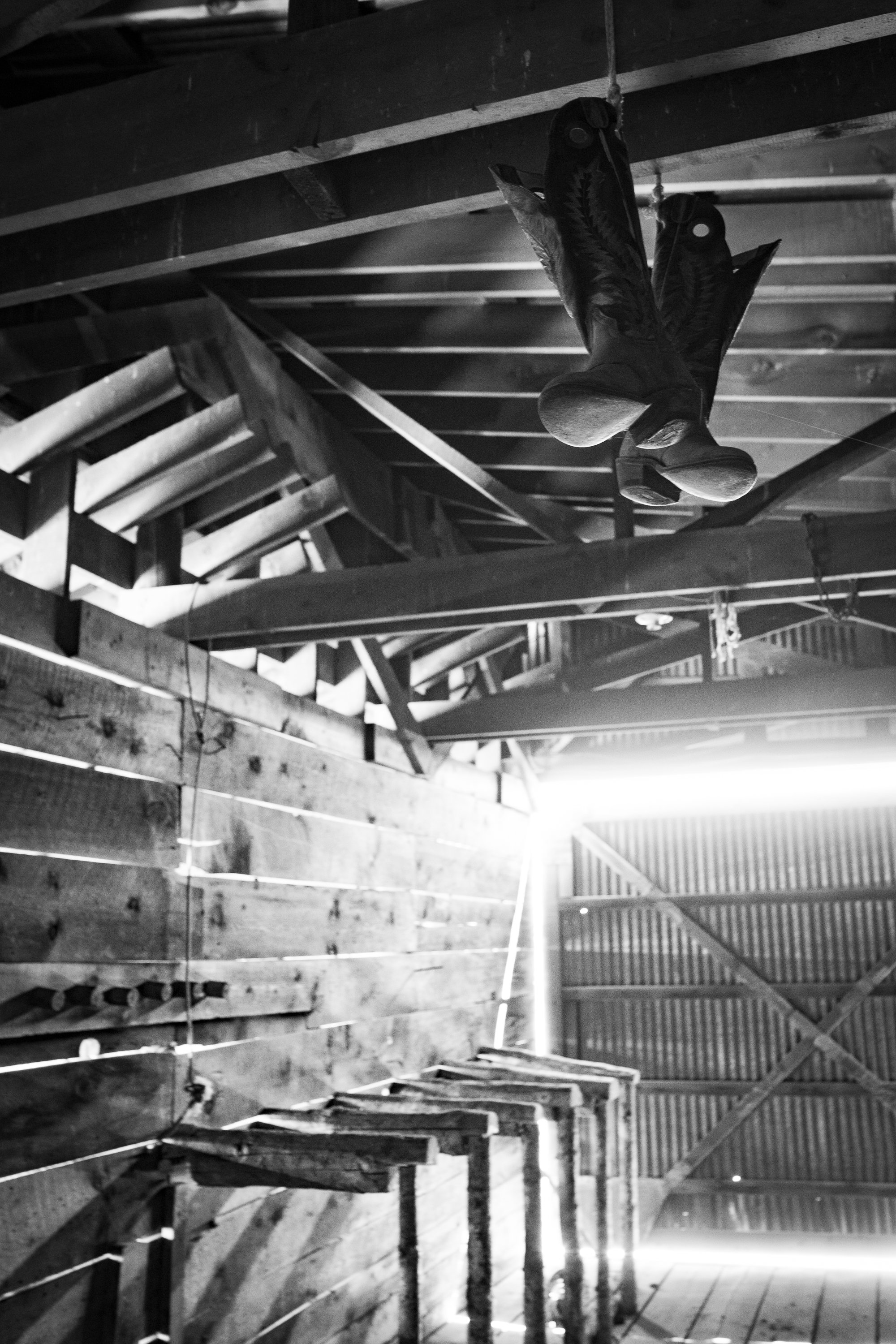 Black-and-white photograph of cowboy boots hanging from exposed wooden rafters inside an old barn, with sunlight entering through gaps in the siding.