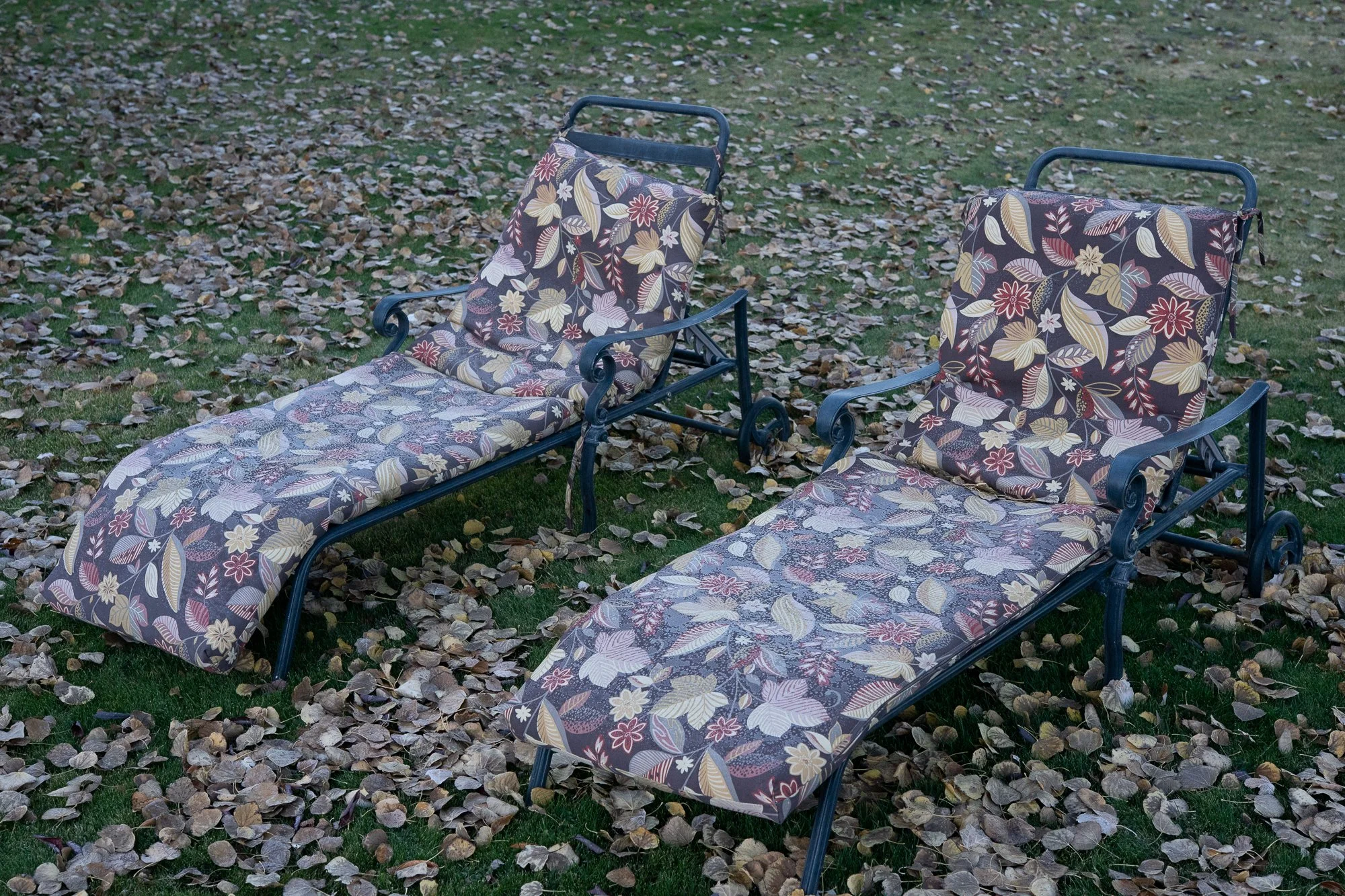 Two floral-patterned lounge chairs with cushions face an open yard, with fallen leaves and grass around them.