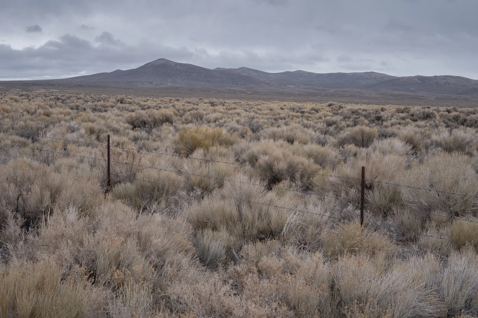 Flat Nevada desert landscape with dense dry sagebrush, a low barbed wire fence on rusted posts, and a mountain range under heavy gray cloud cover.
