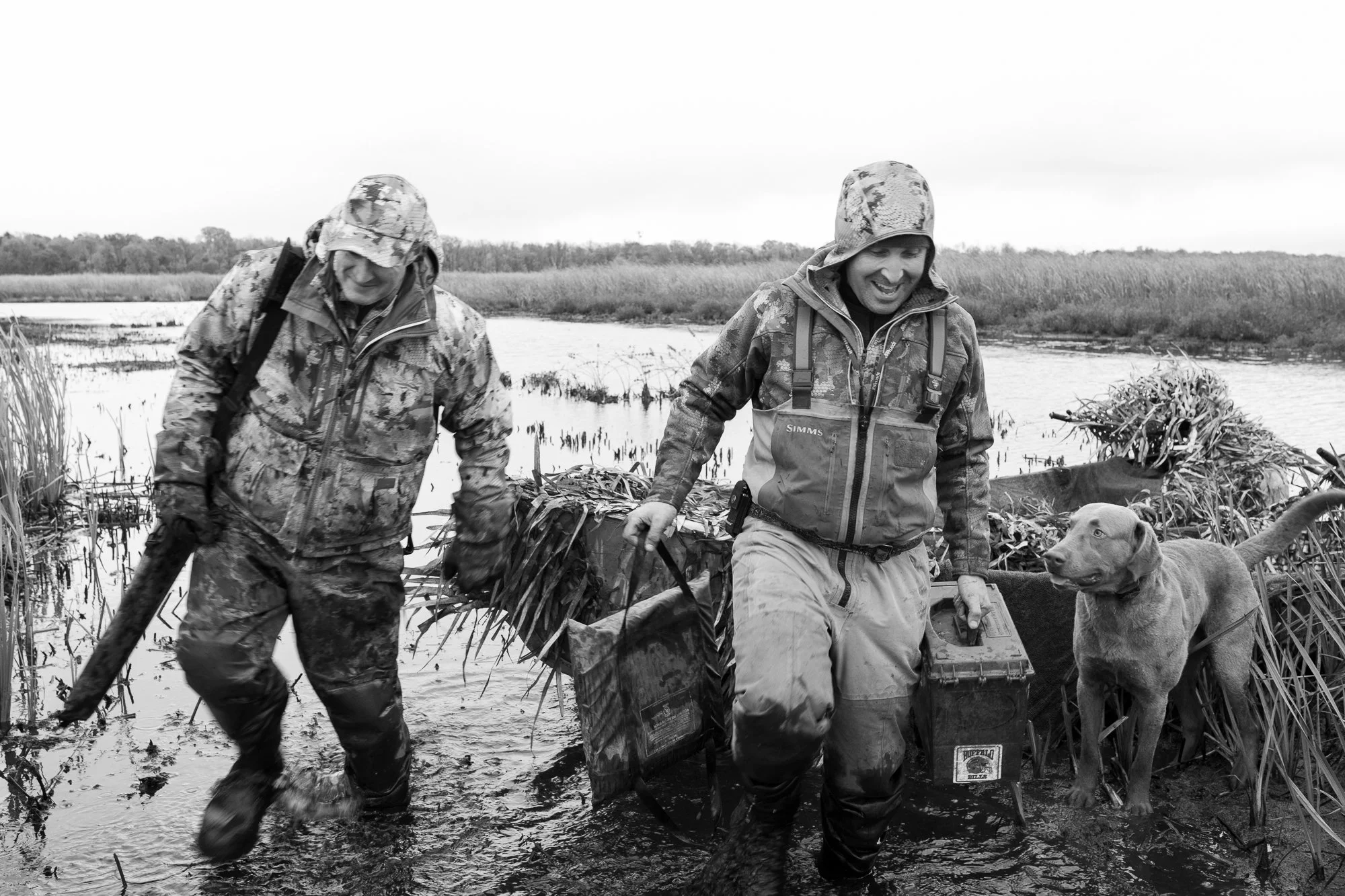 Two duck hunters in waders carry gear through flooded marsh beside their retriever during waterfowl season in Ontario