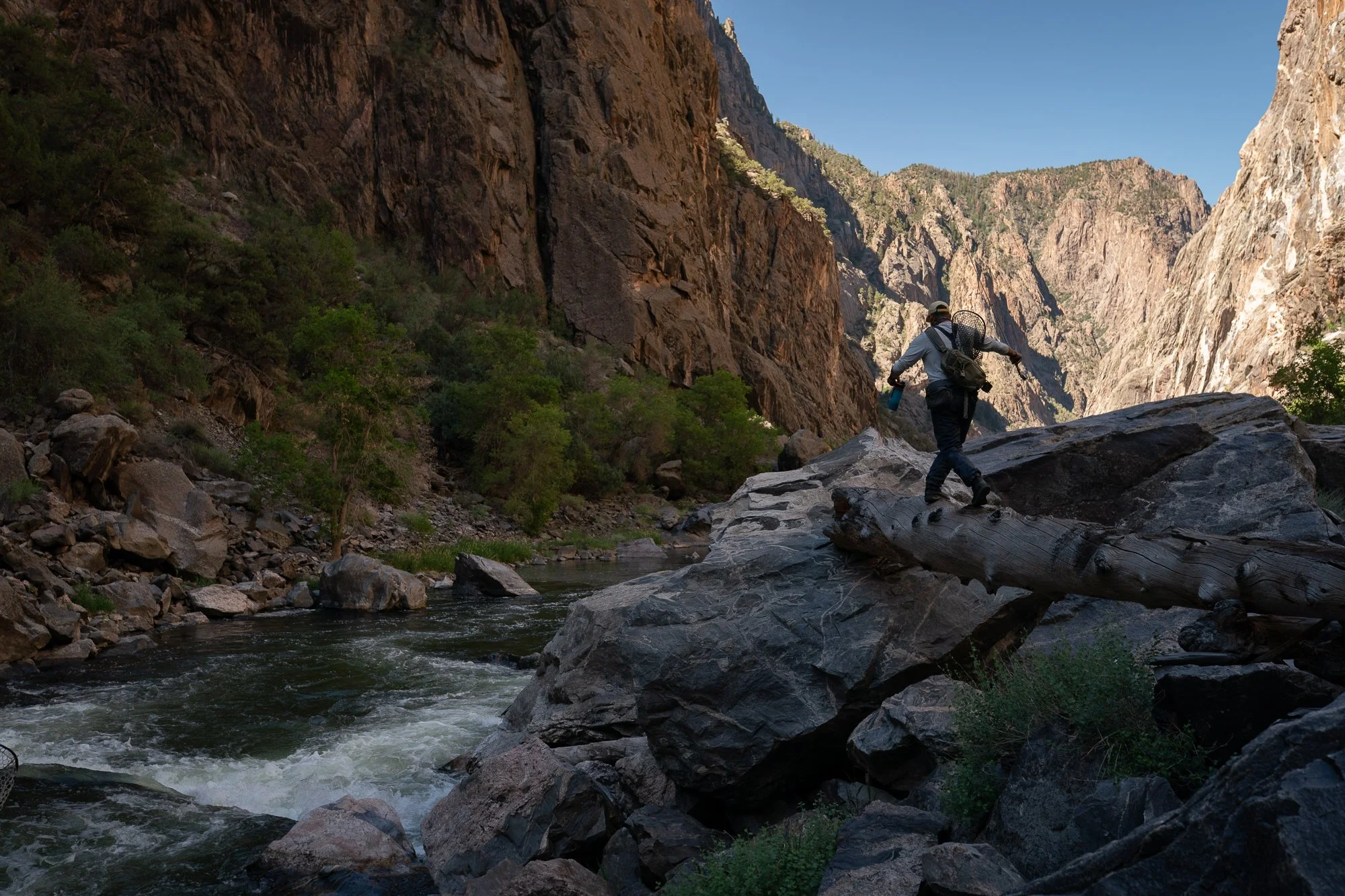 An angler crosses a fallen log above the Gunnison River inside the Black Canyon