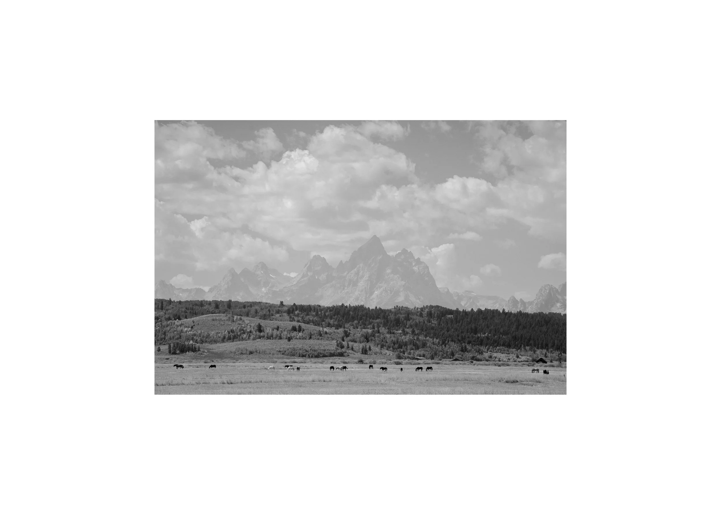 Grand Teton Mountain Photography Print