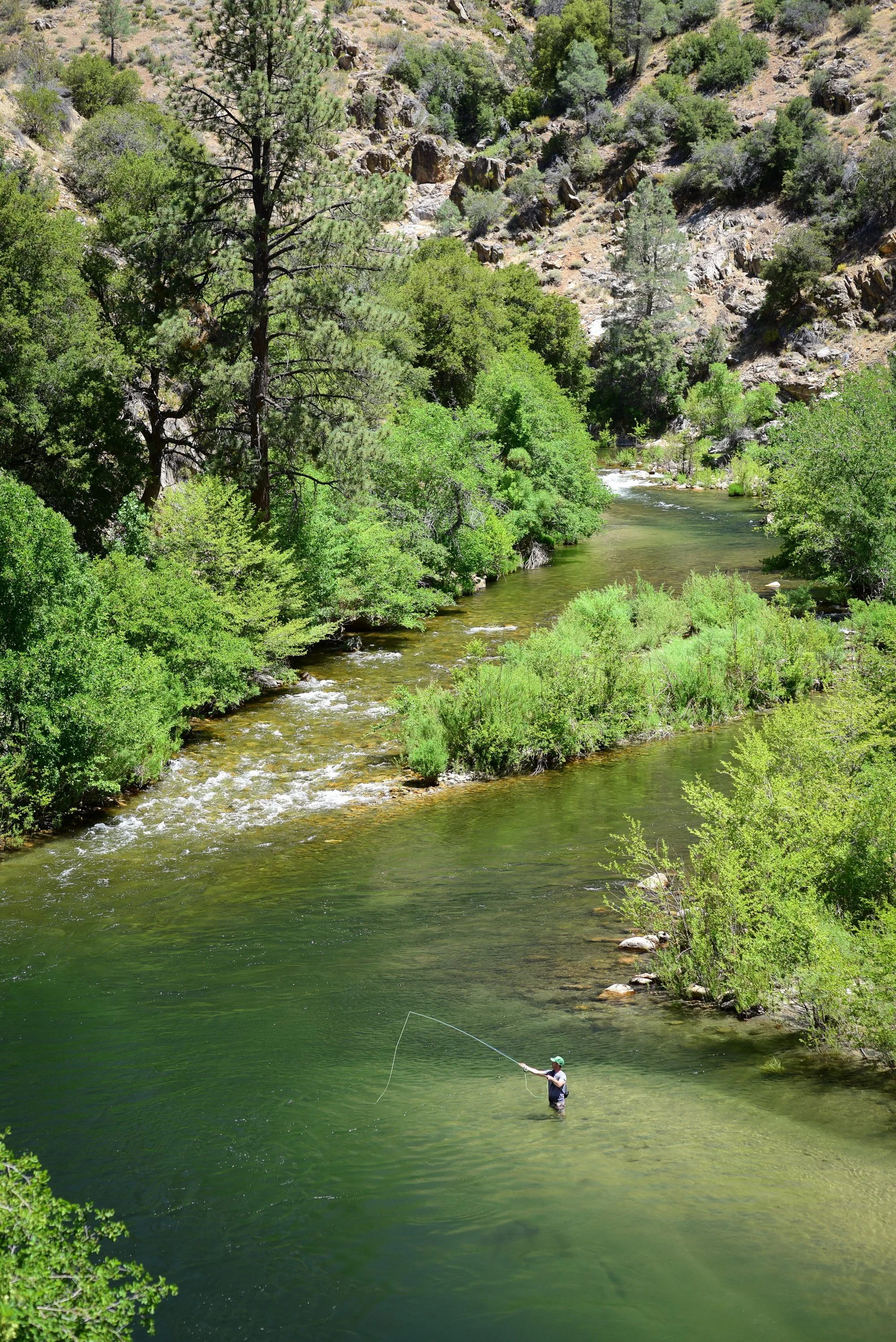Beautiful photograph of a fly fisherman casting into the colorful Kern River on a sunny summer day
