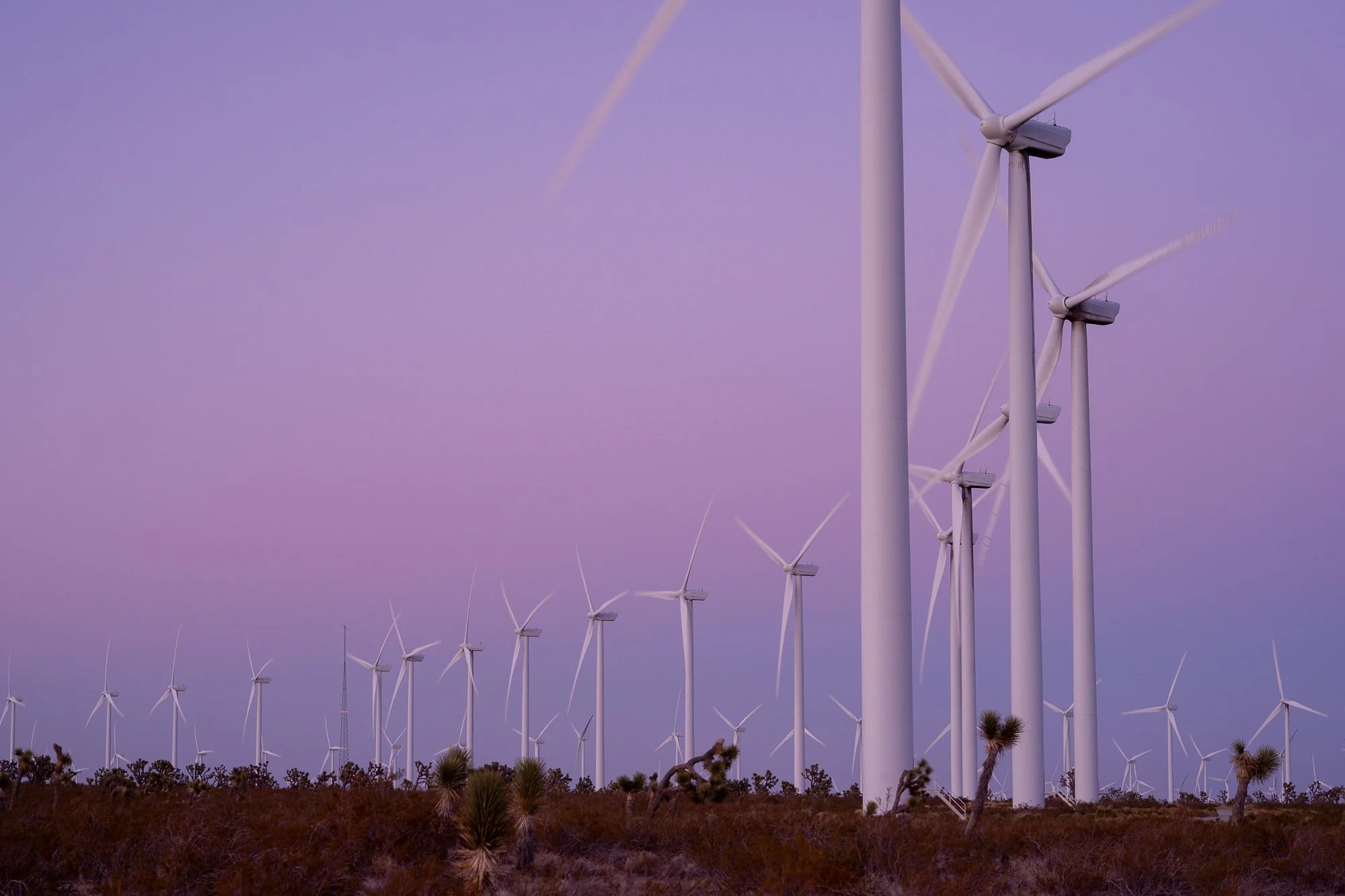 Wind turbines across the California desert with Joshua trees under purple evening sky