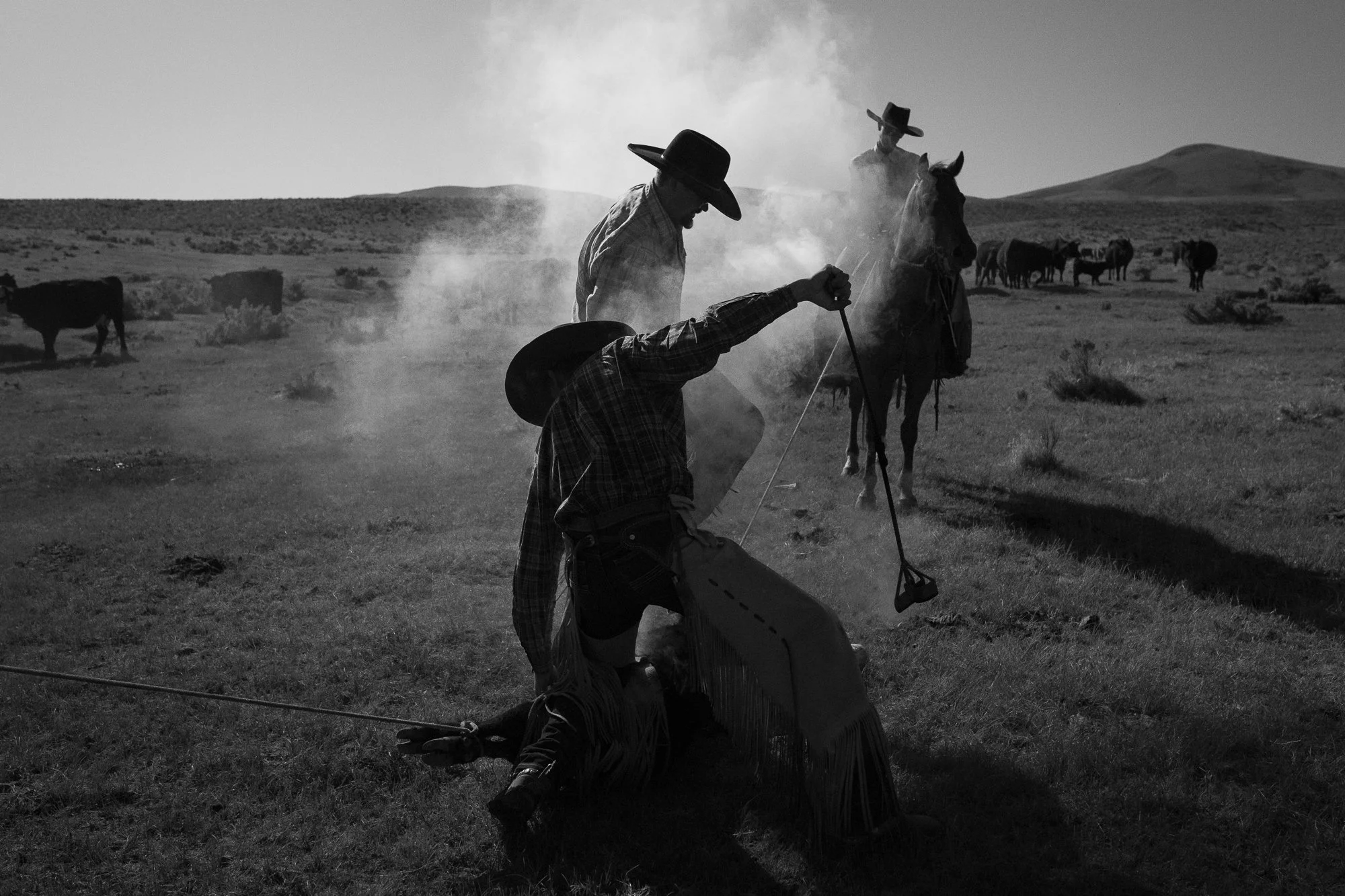 Cowboys working a cattle branding on a ranch with smoke rising in black and white with horses and open range behind them