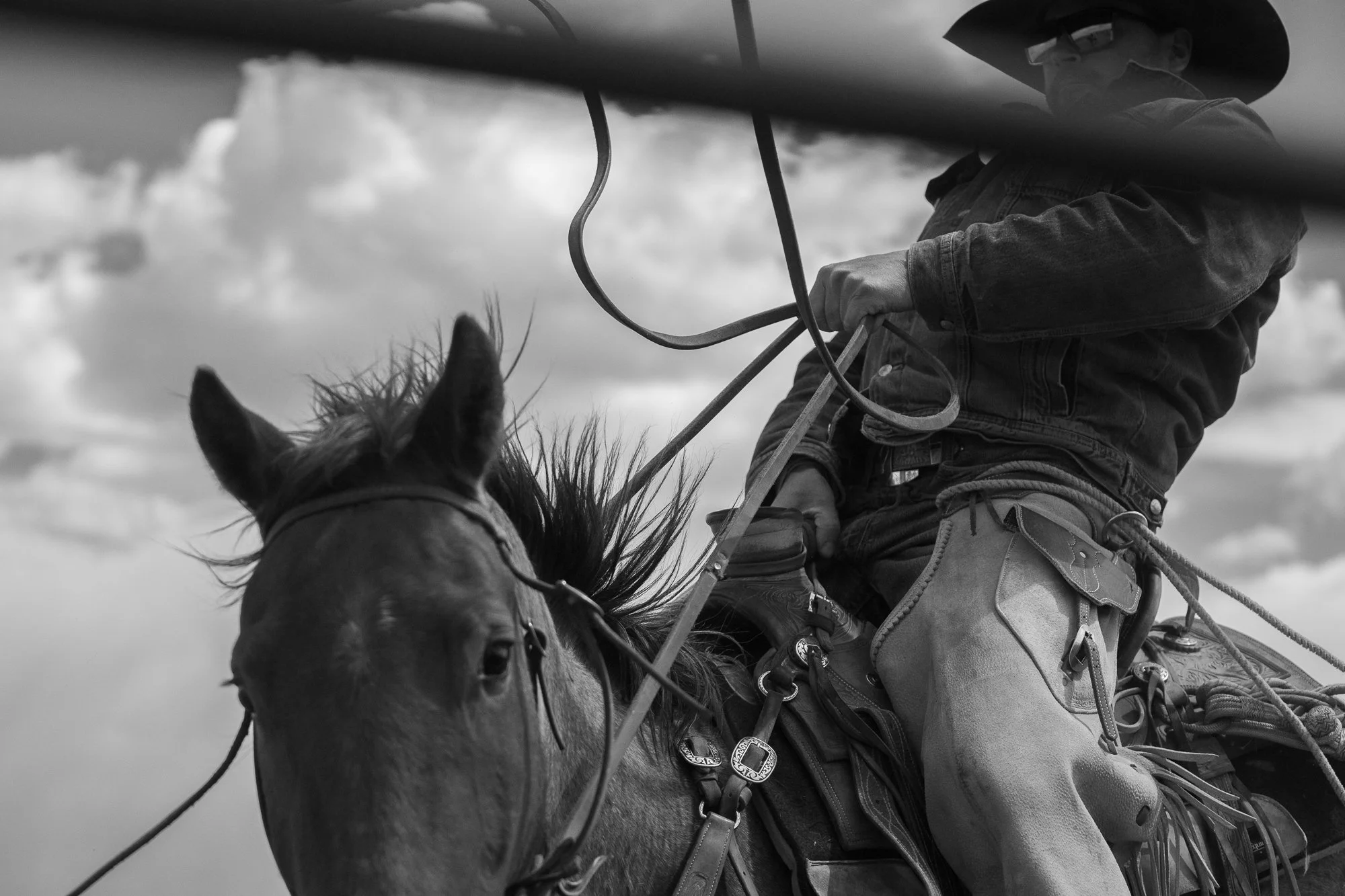 Working cowboy on horseback holding a rope at the Diamond A Ranch