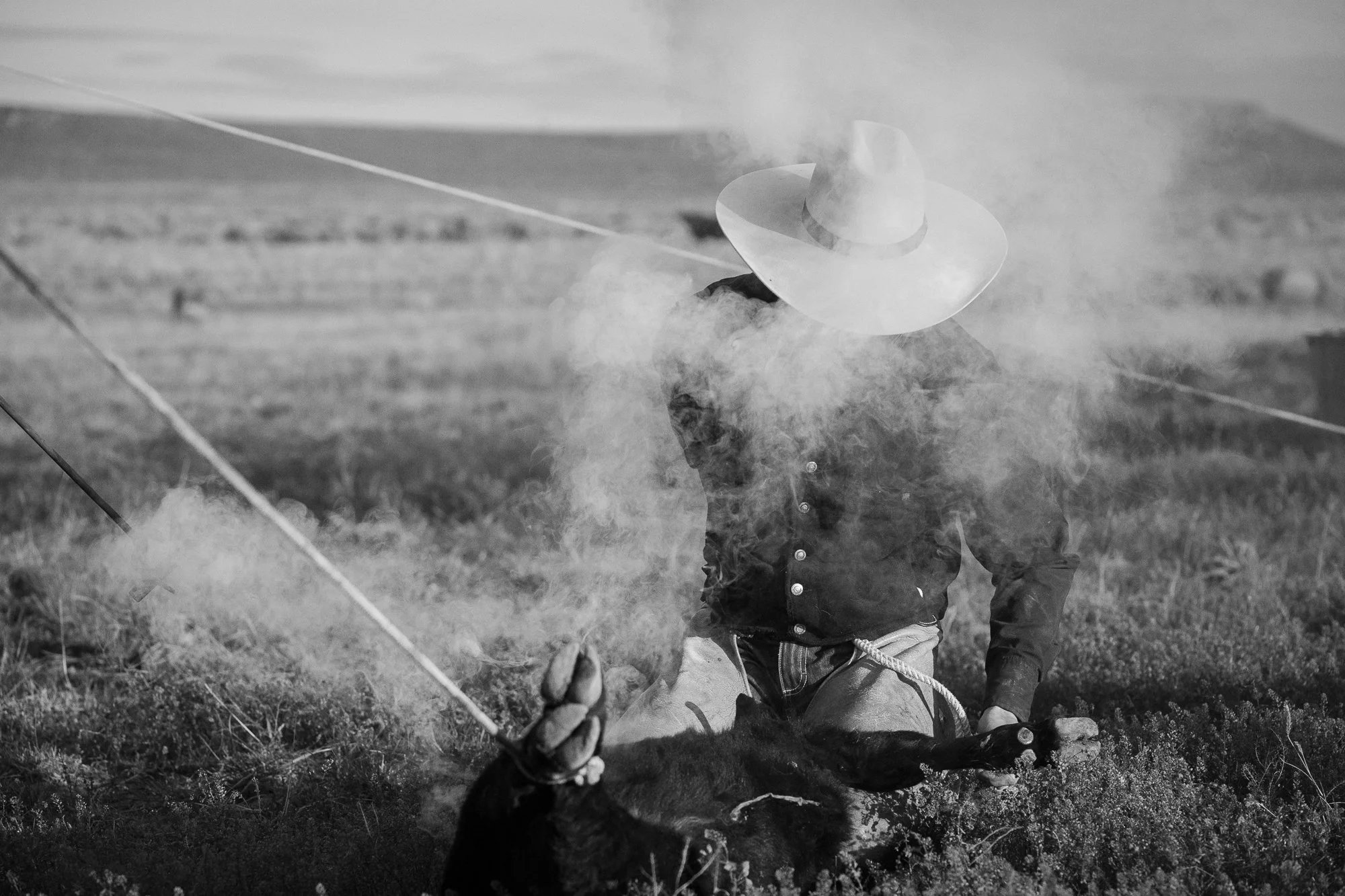 Cowboy kneeling beside a calf during branding on a Nevada ranch, with smoke drifting across the open ground.