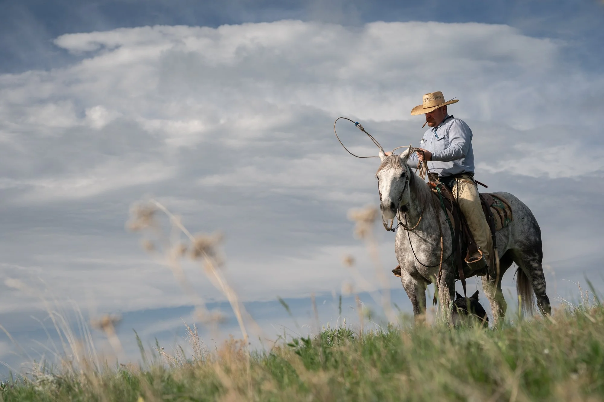 Cowboy on horseback holding rope in open landscape with dramatic sky