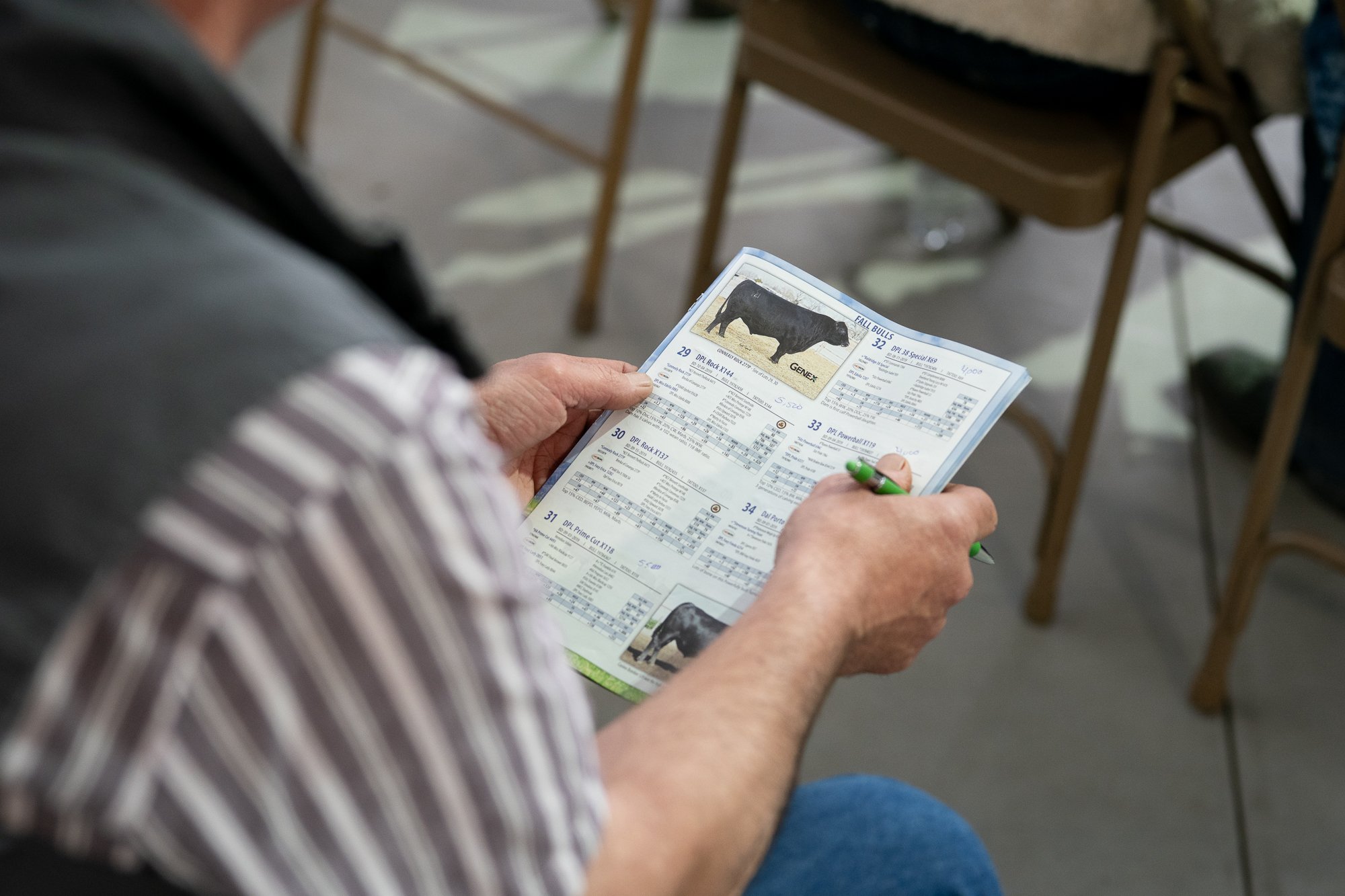 Rancher reviewing a bull sale catalog during a Nevada bull sale