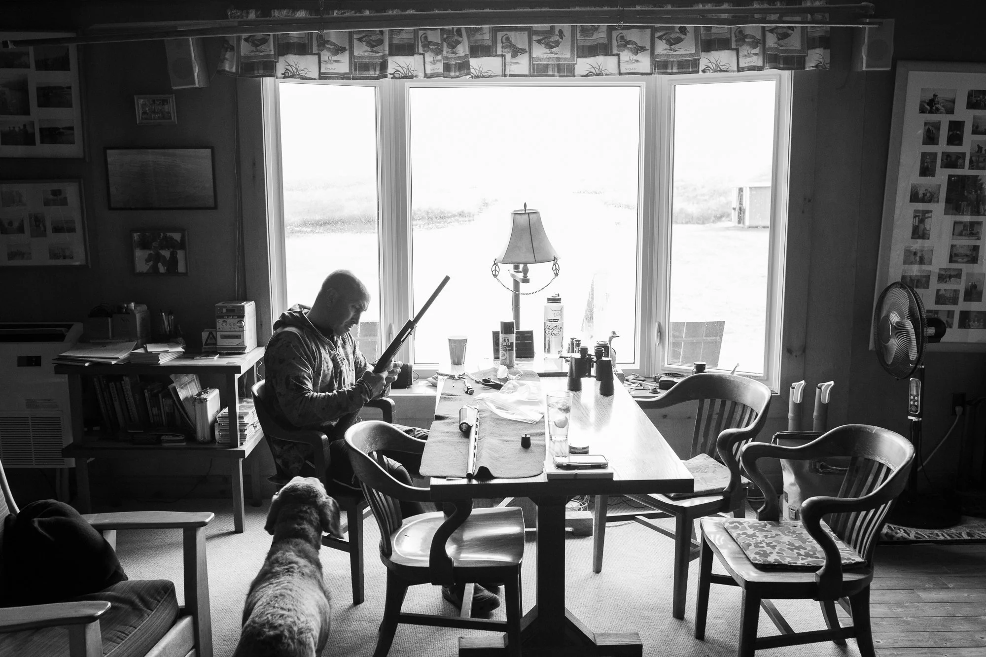 A duck hunter cleans his shotgun inside a hunting lodge while a retriever waits nearby in Ontario
