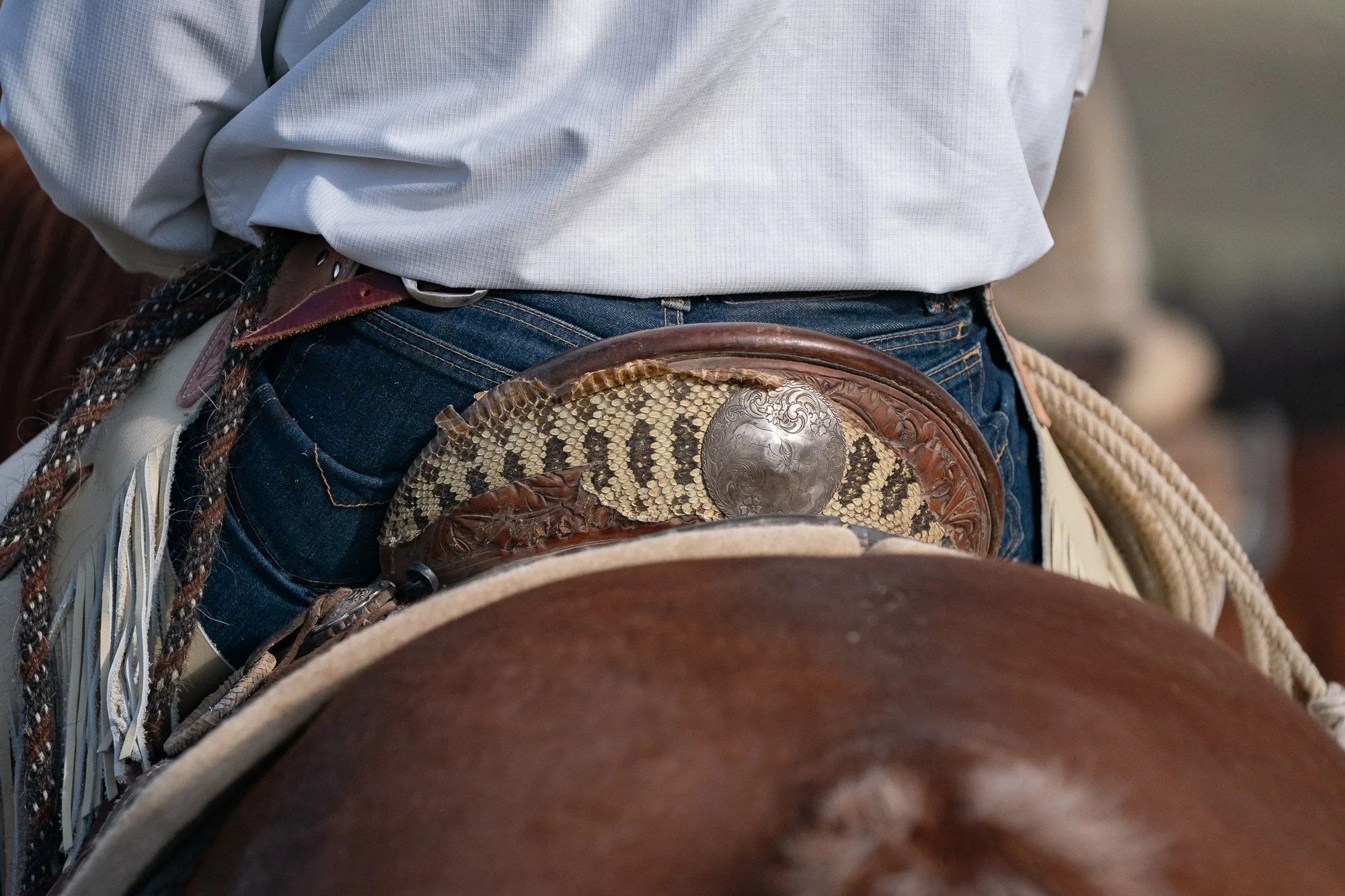 Close-up of a buckaroo's saddle featuring a textured leather horn cover, engraved silver concho, coiled rope, and worn leather tack.