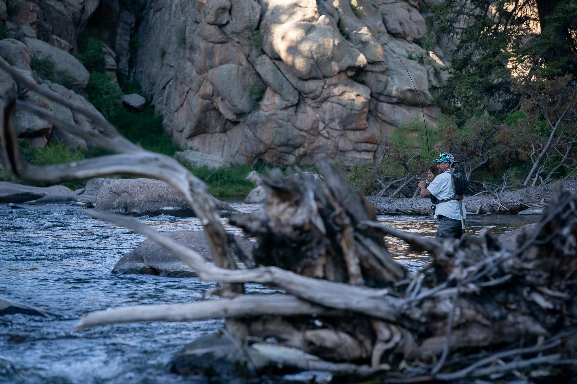 A fly fisherman casts beside granite boulders and fallen timber on the South Platte River in 11 Mile Canyon, Colorado.