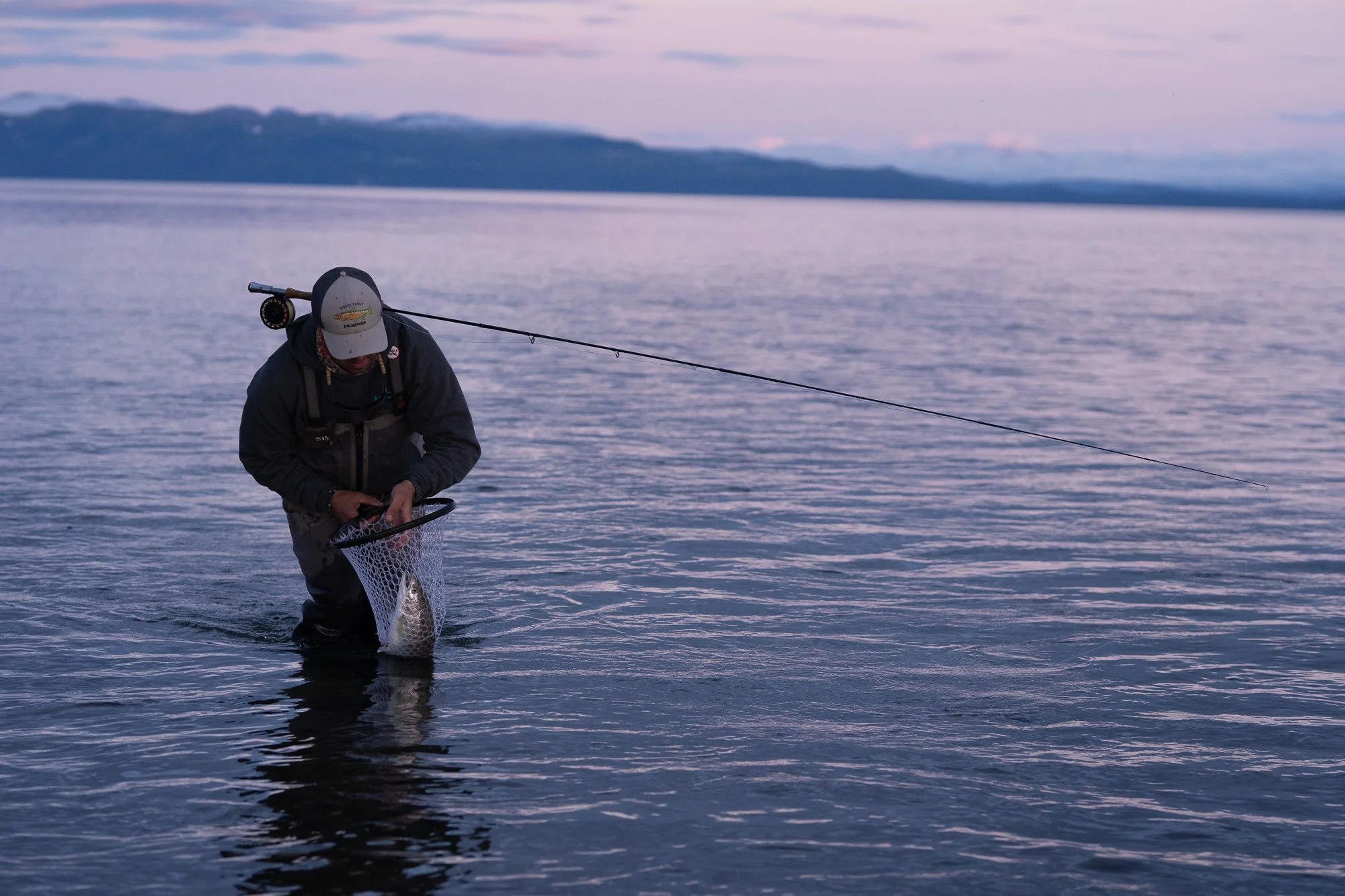 Fly fisherman standing in the water with a rainbow trout in a landing net