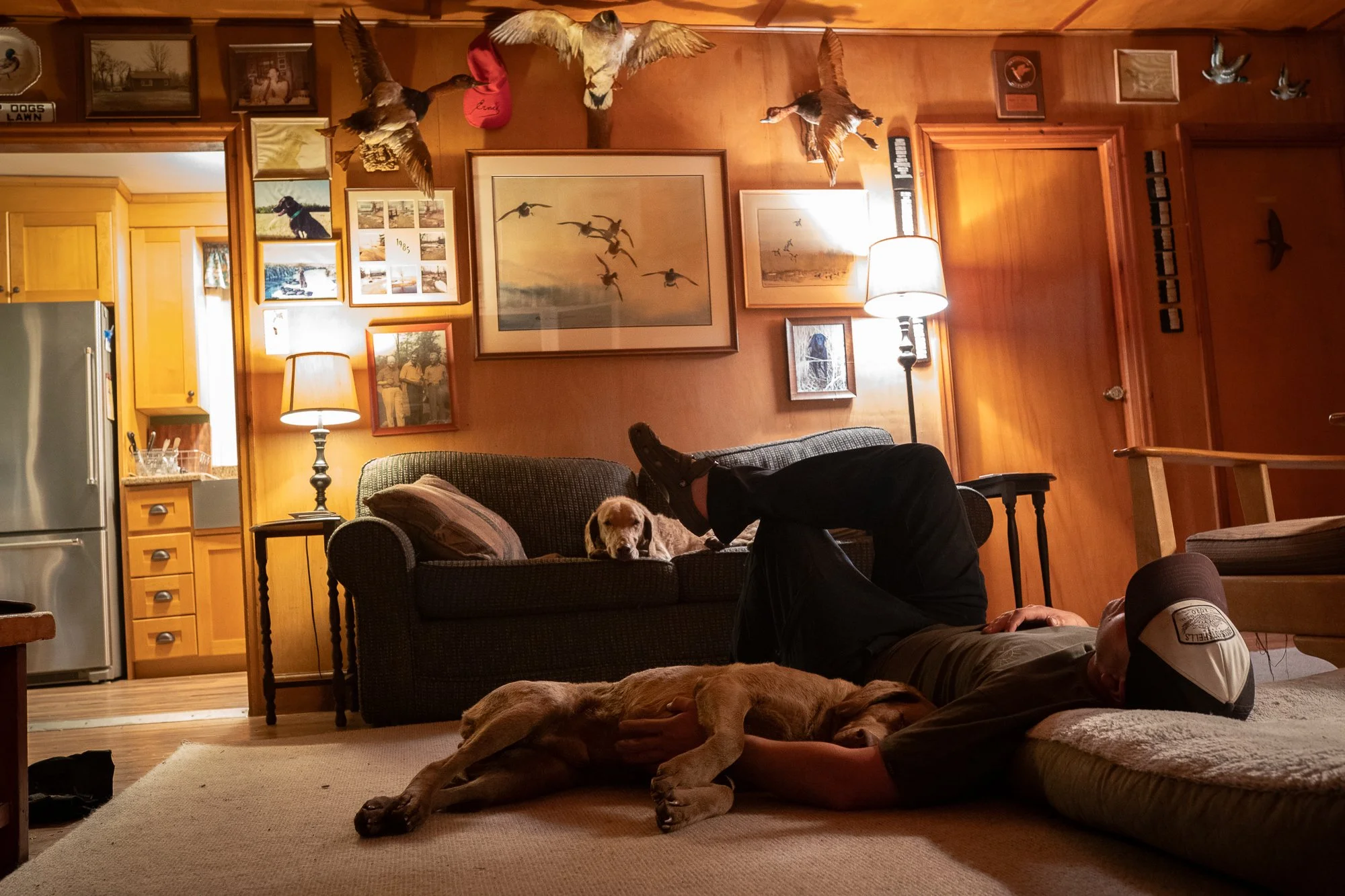 A hunter rests indoors with retrievers inside a duck hunting lodge after a day in the marsh