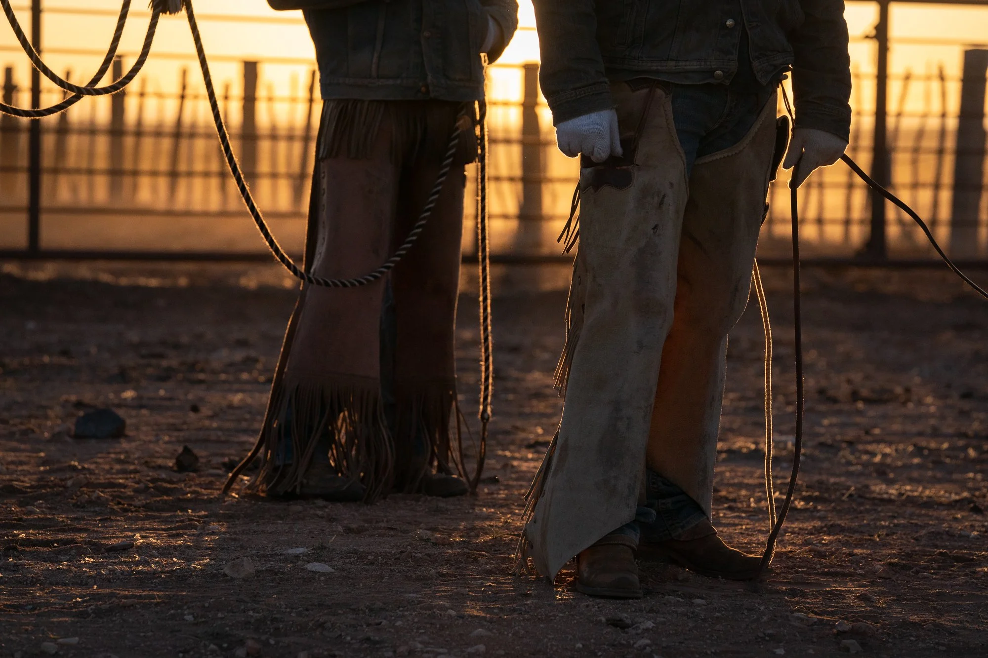 Close view of working cowboys wearing chaps and holding ropes in low light