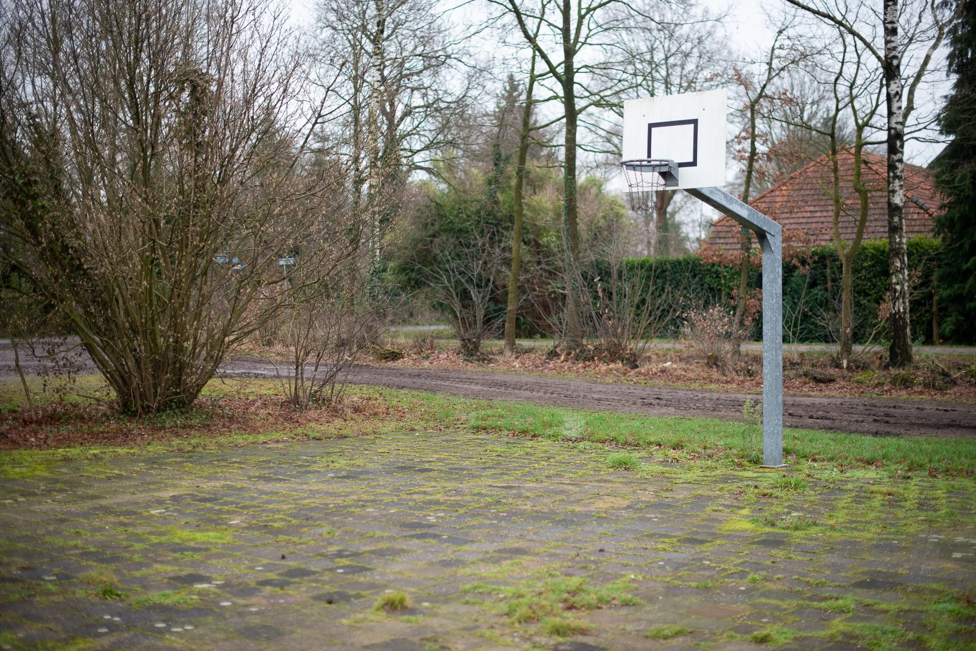 Outdoor basketball hoop on a quiet European court with moss-covered paving stones and surrounding trees.