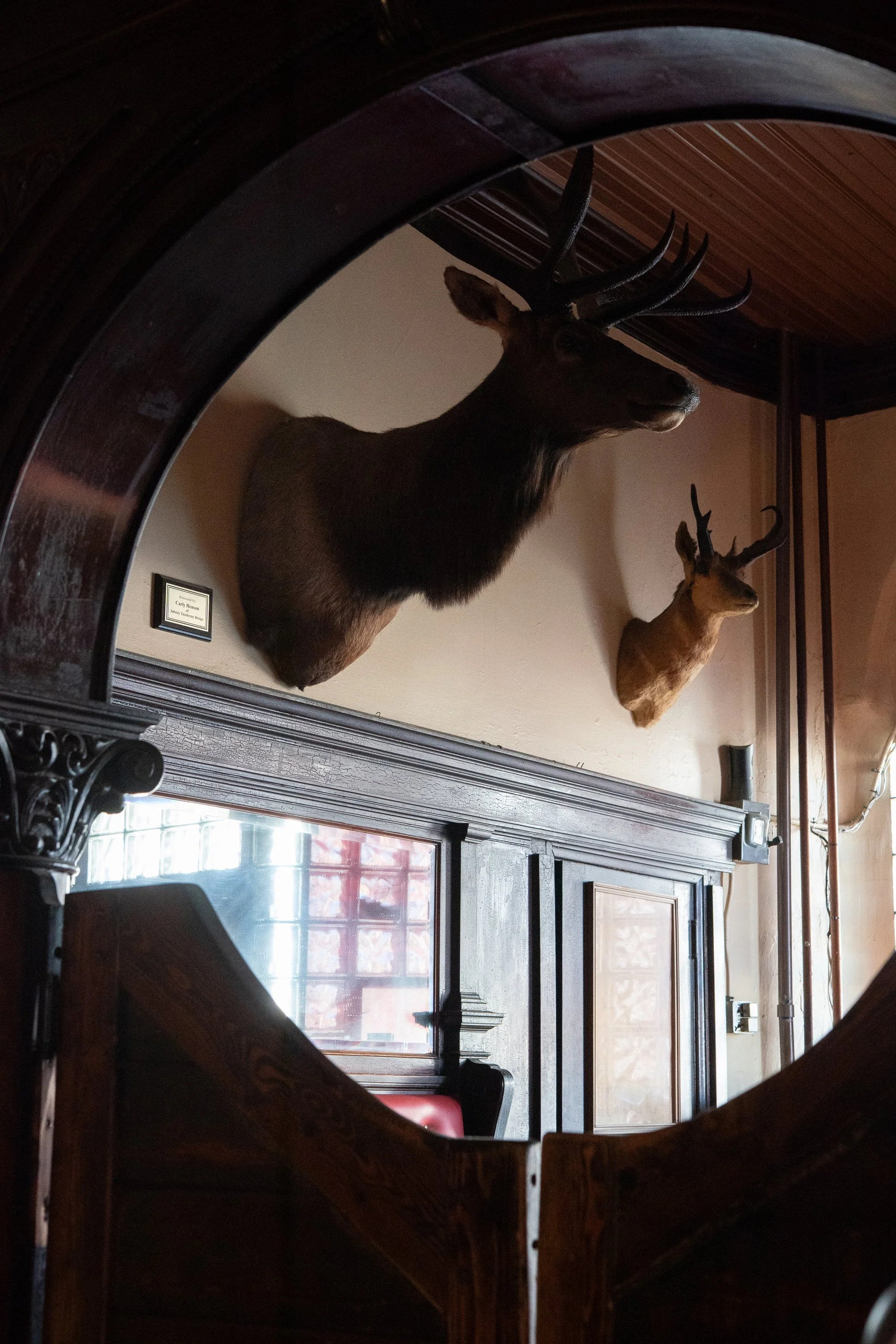 Mounted elk and smaller antlered animal heads displayed above dark carved wooden partitions inside the College Inn in Douglas, Wyoming.