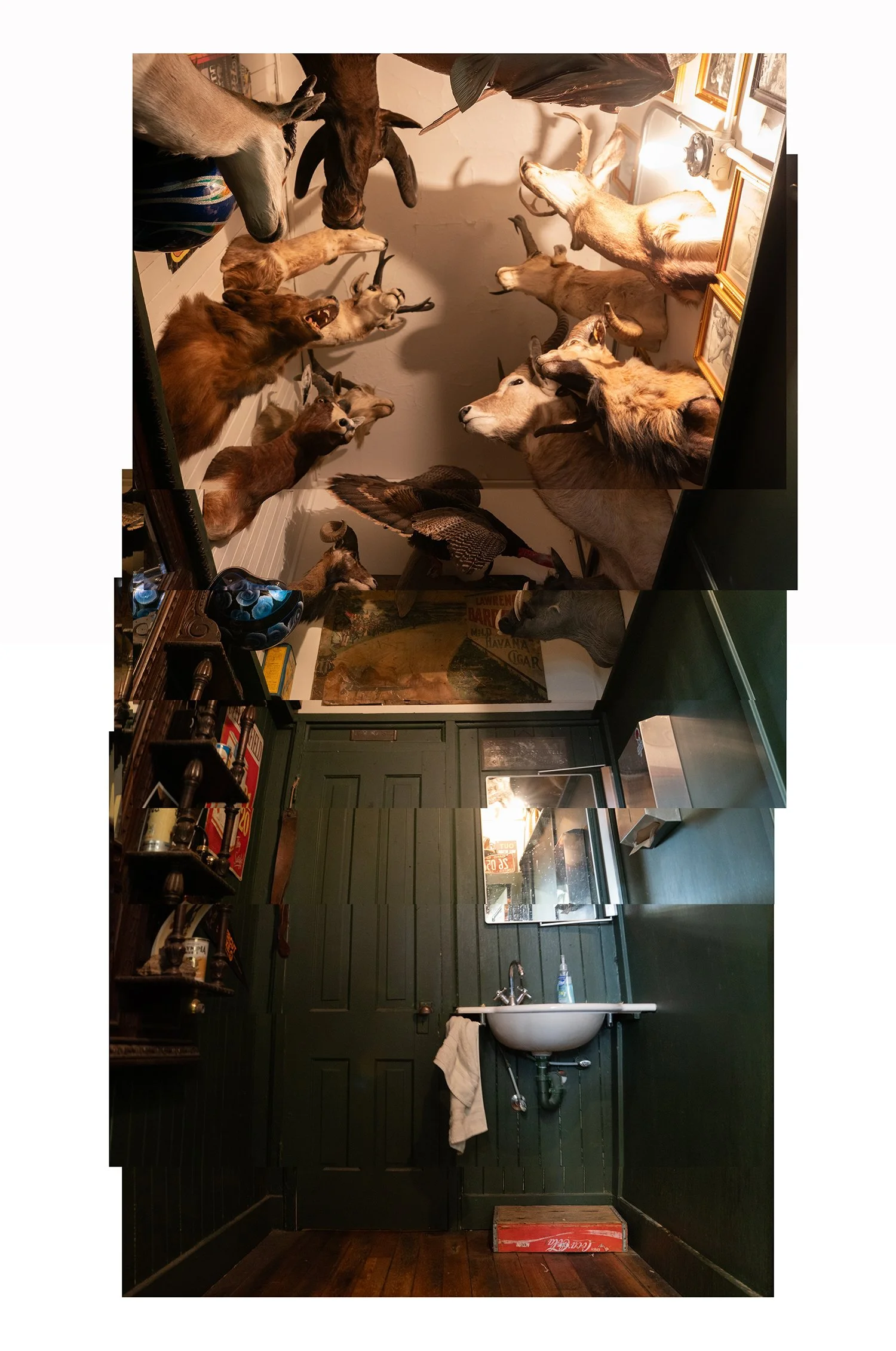 vintage bathroom inside Belmont Barbershop in Boise Idaho with mounted animal heads and dark green walls