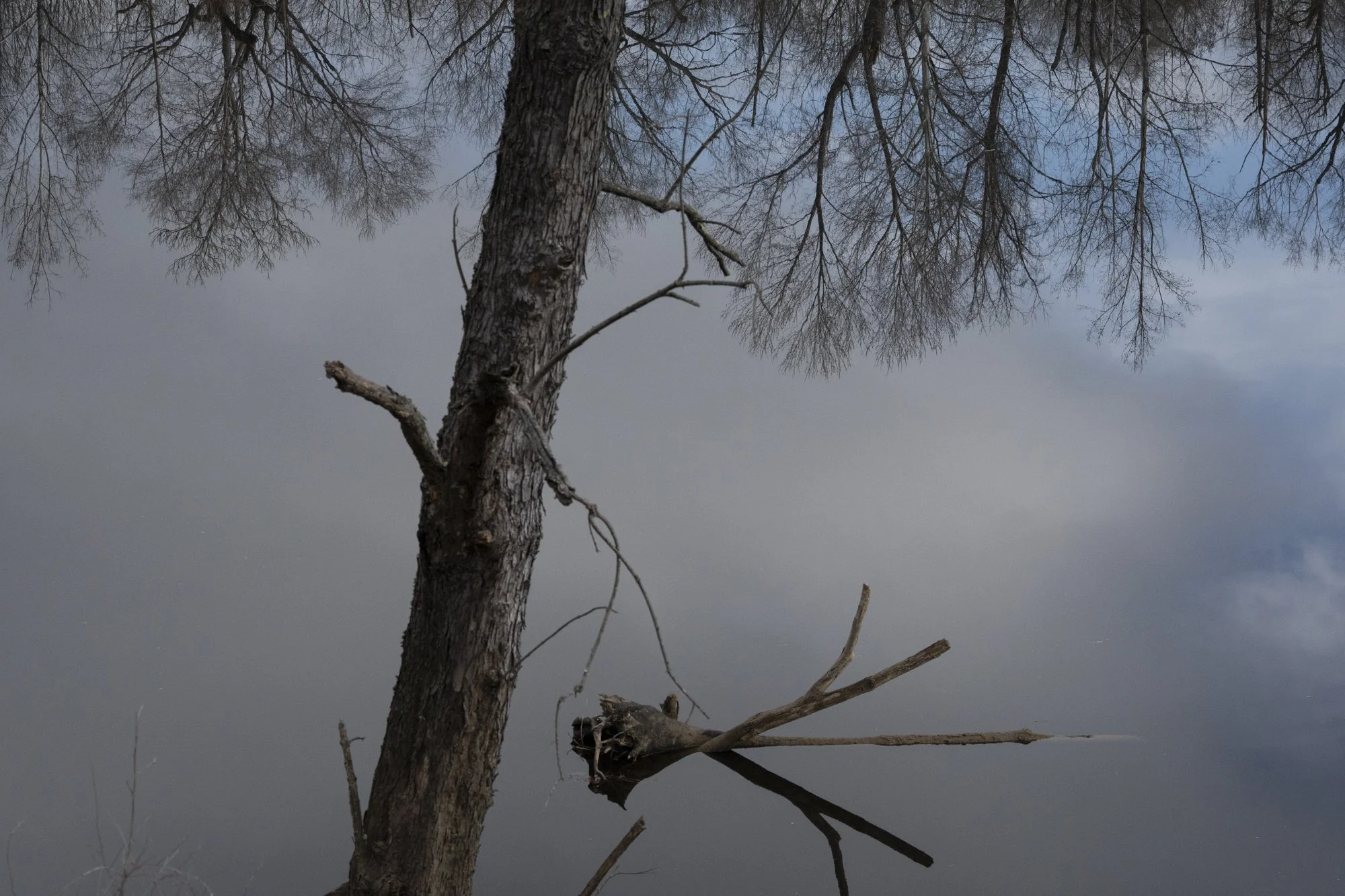 Abstract fine art photography