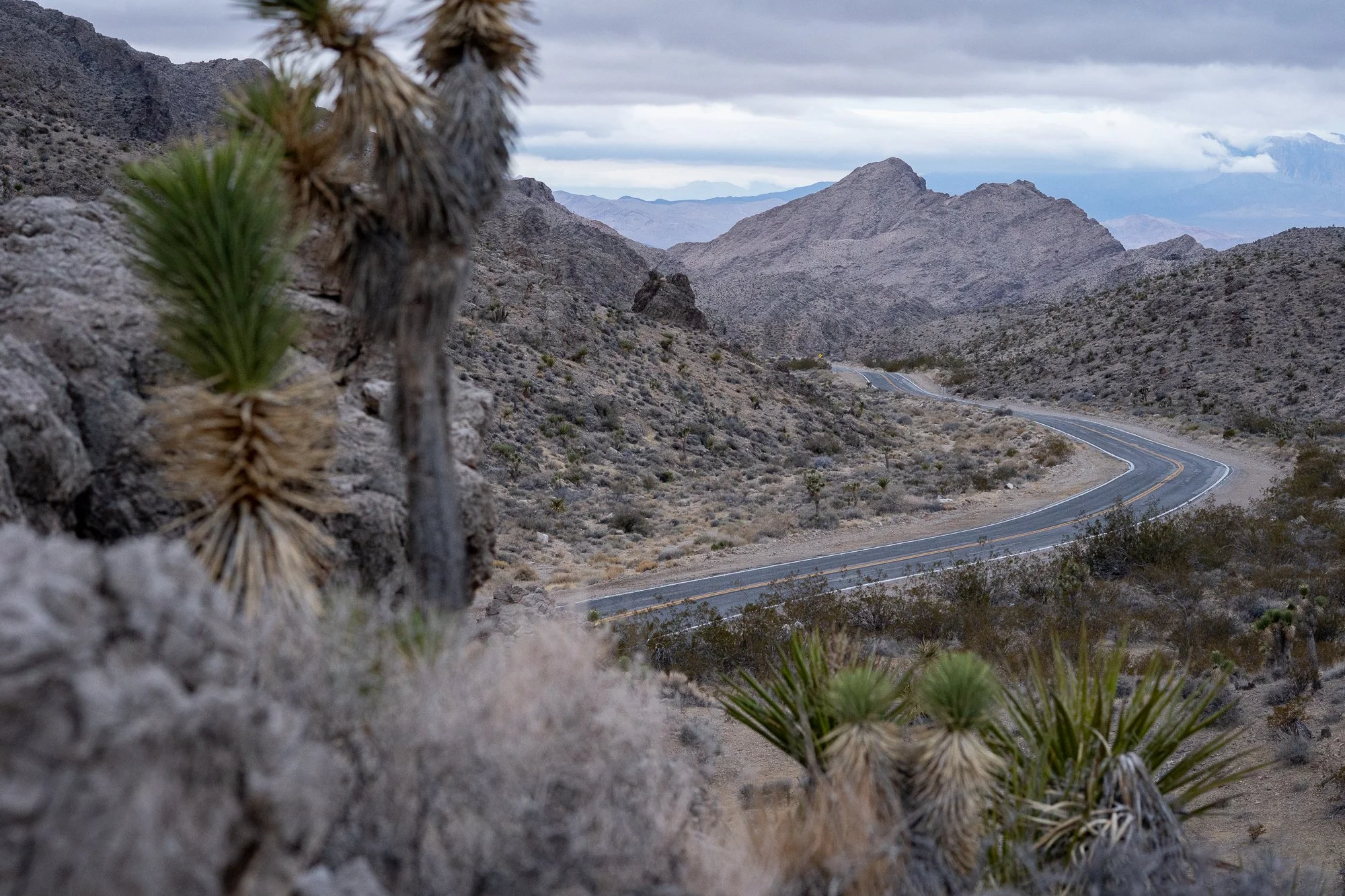Winding two-lane Nevada road through a rocky mountain pass with Joshua trees in the foreground and layered peaks under an overcast sky.