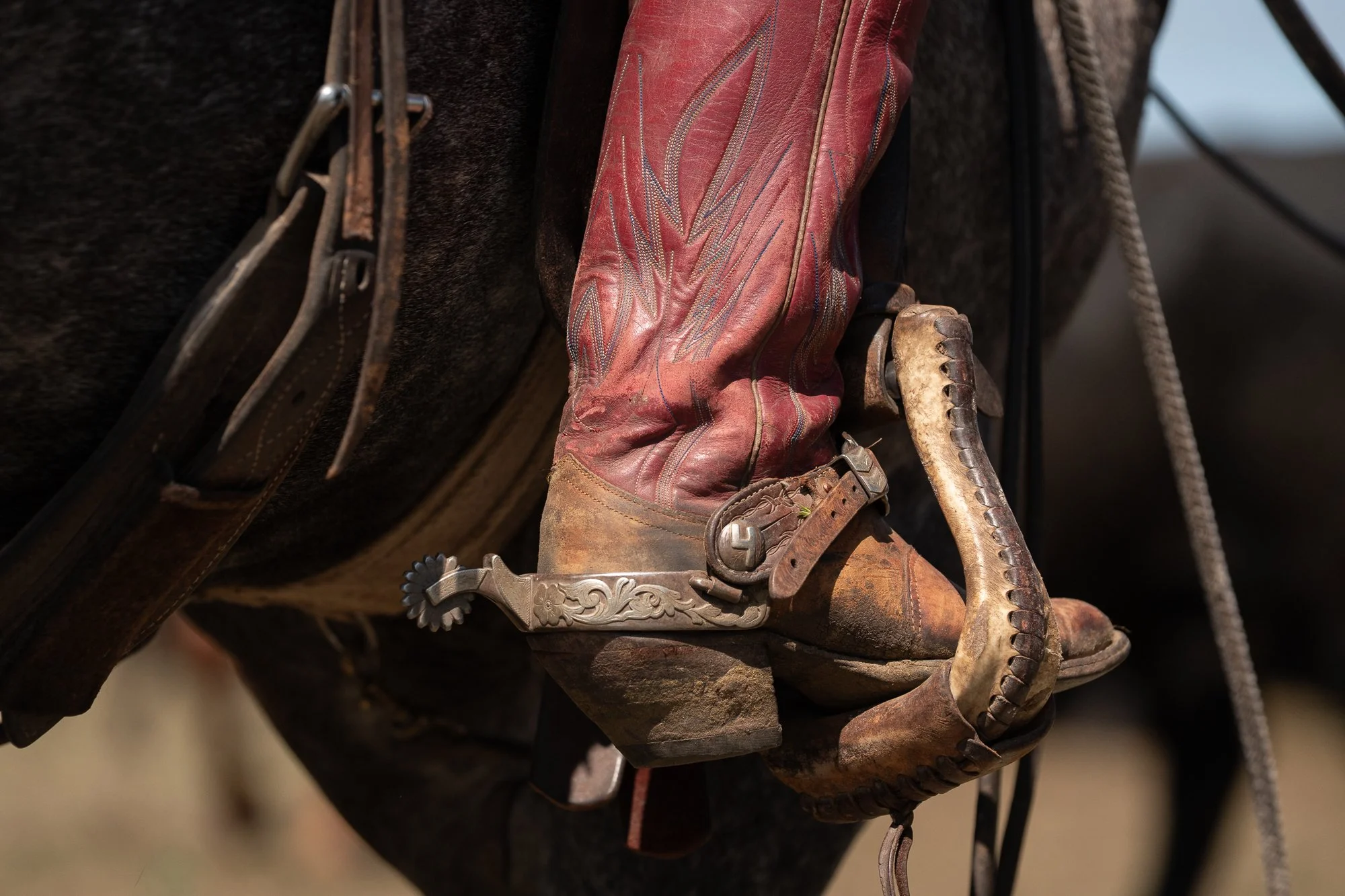 Close detail of a cowboy boot with engraved spur resting in a stirrup during ranch work at Haythorn Ranch in the Nebraska Sandhills.