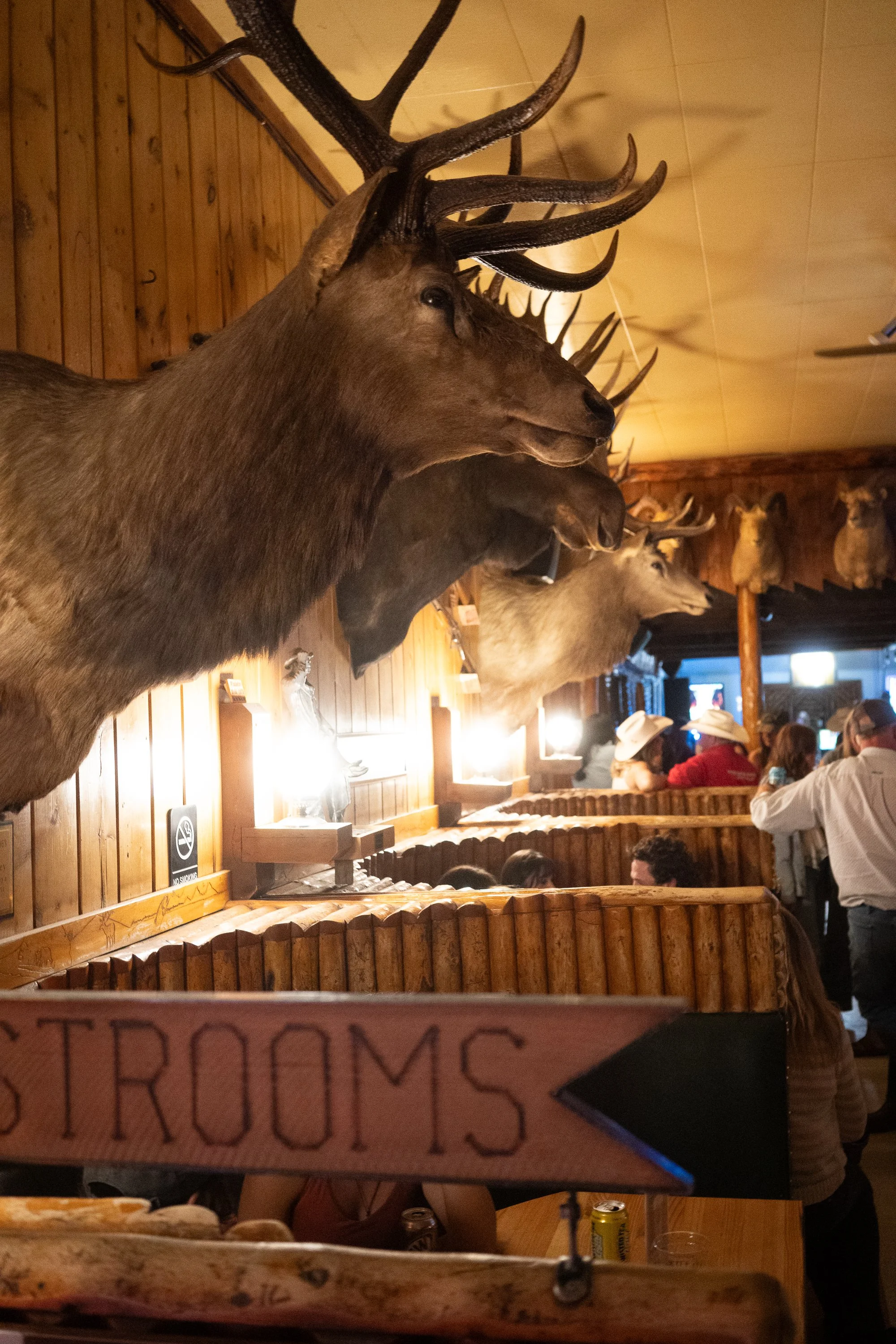 Taxidermy mounts line the walls inside the Rustic Pine Tavern as patrons gather after the rodeo in Dubois Wyoming