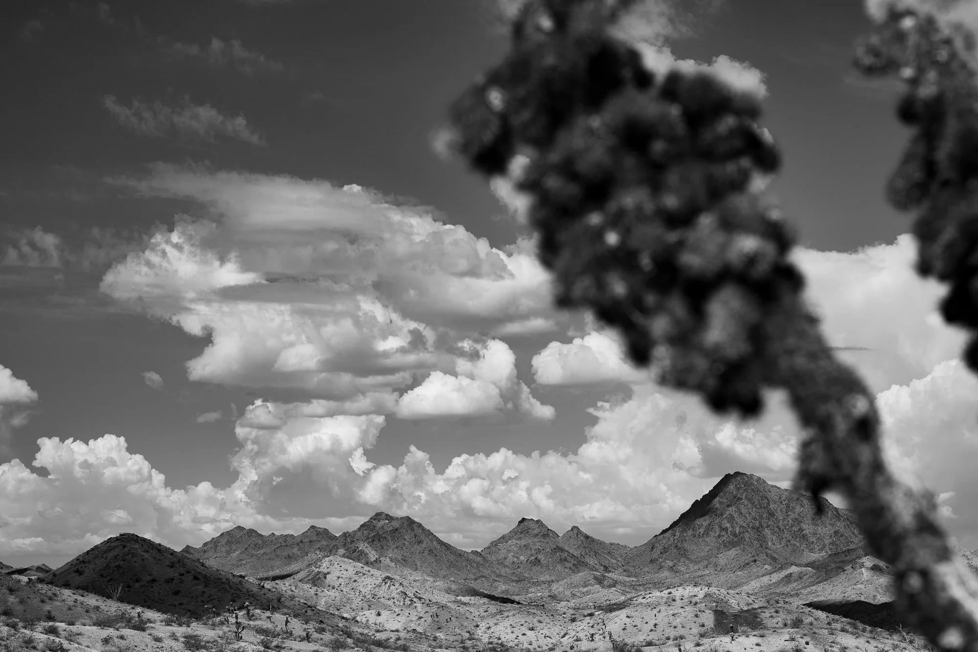 Black and white California desert landscape with mountains, clouds, and a blurred Joshua tree