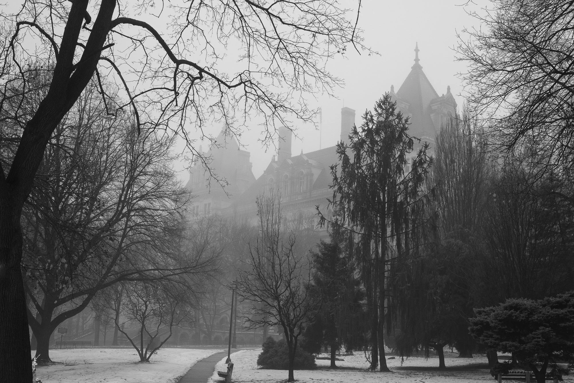 Black and white photograph of the New York State Capitol partially obscured by winter trees in Albany