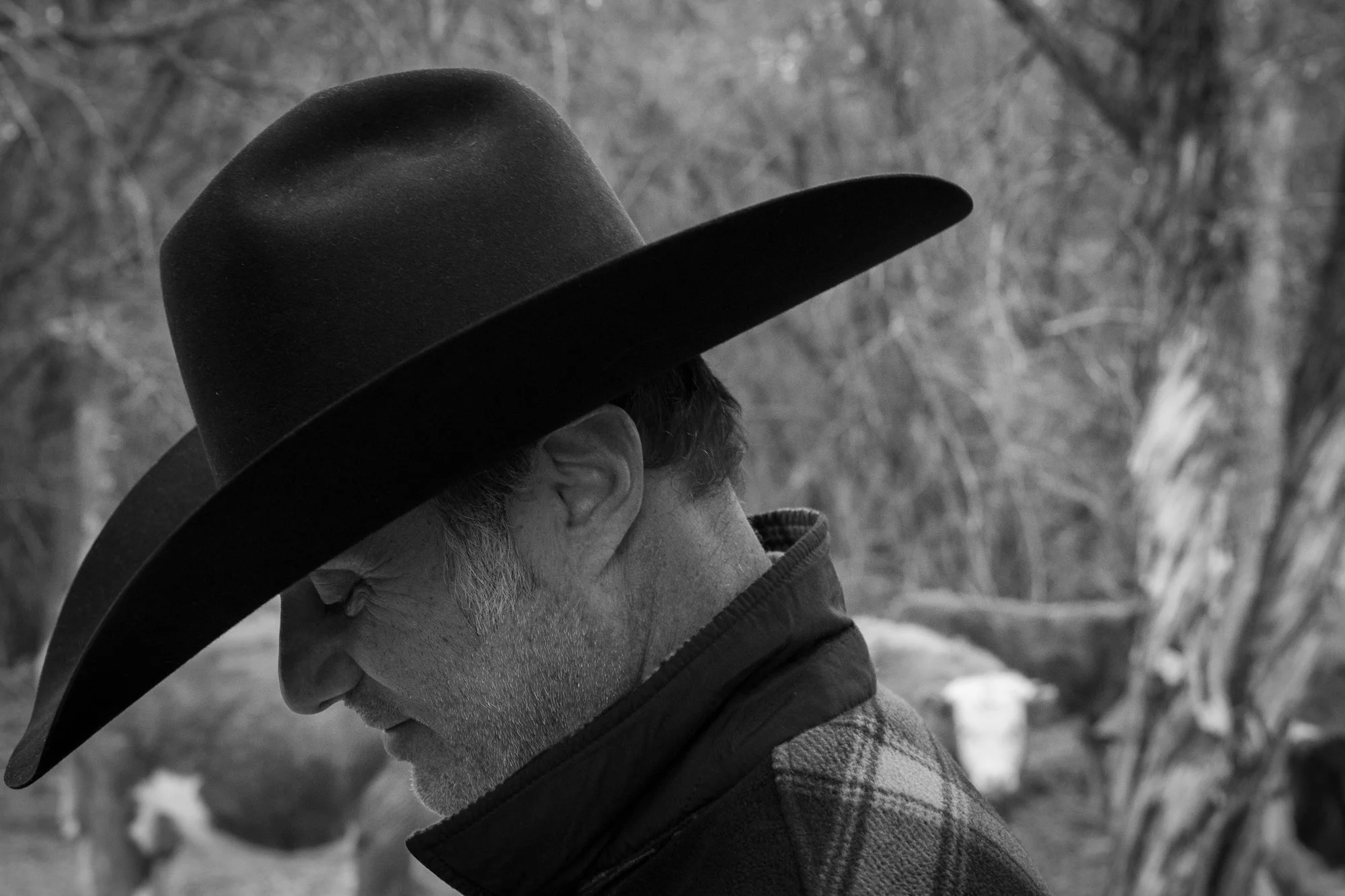 Close black and white portrait of Teal Blake wearing a cowboy hat outdoors