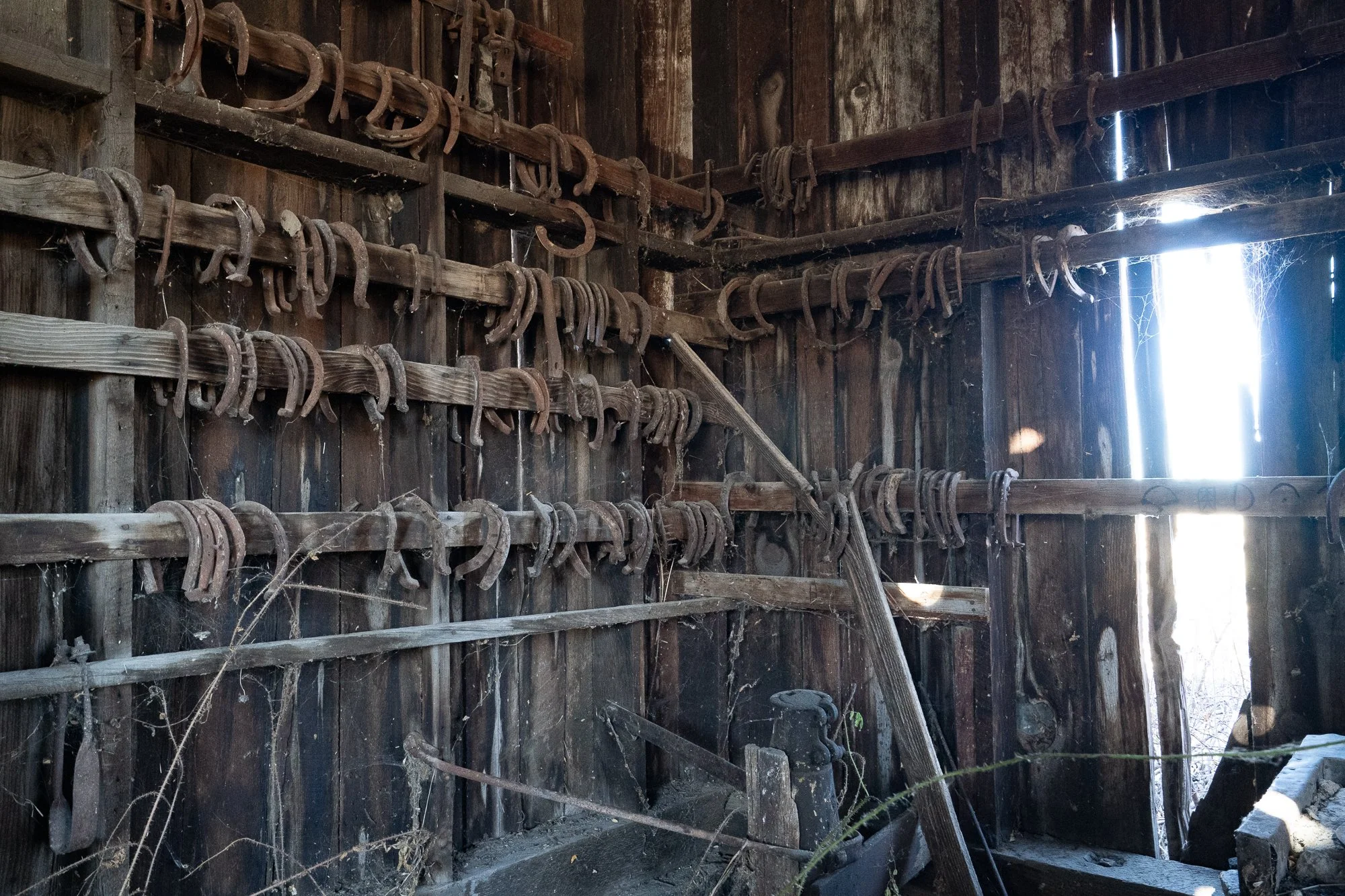 Interior of old wooden barn wall lined with worn horseshoes and ranch tools