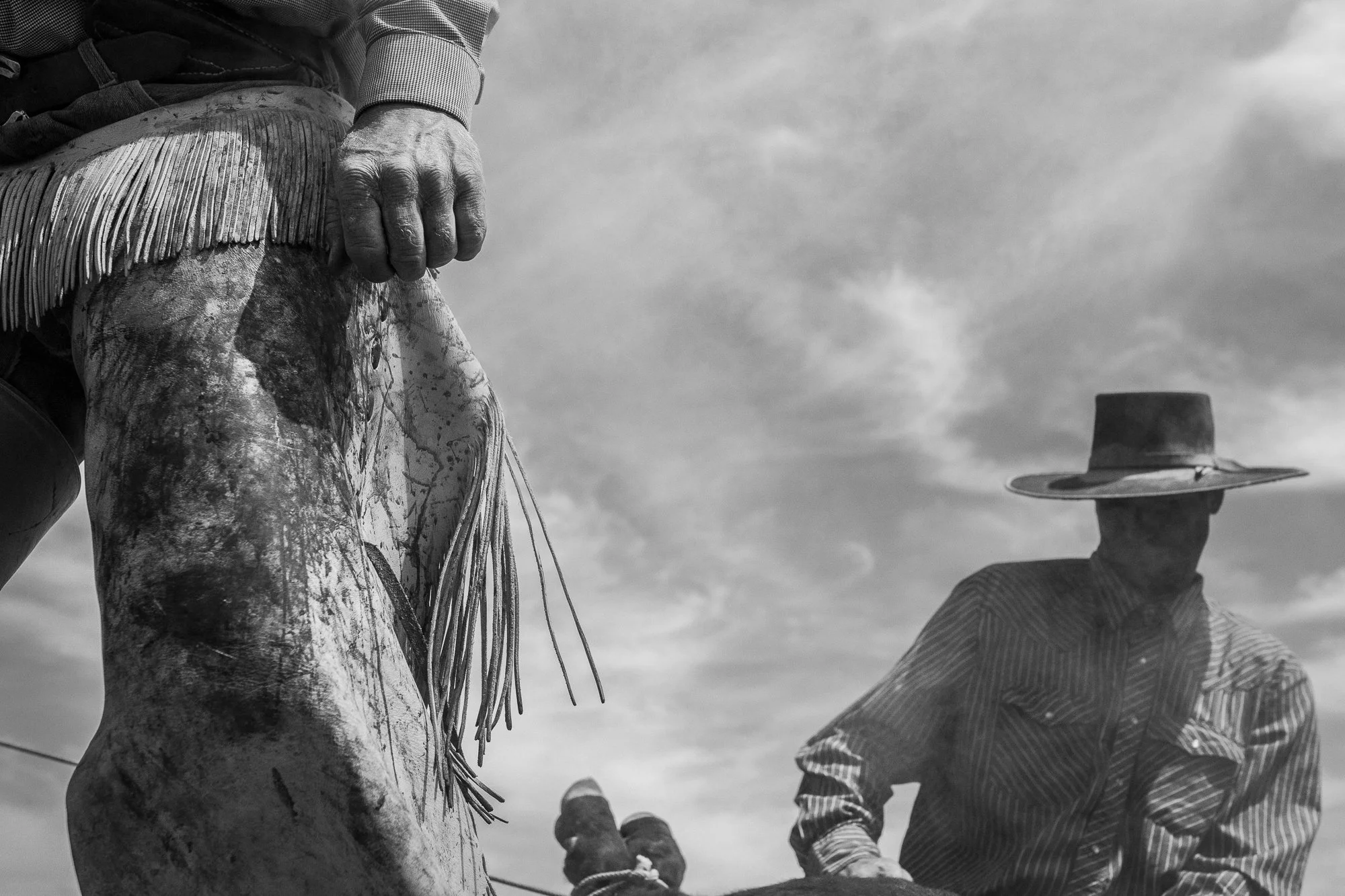 Cpunch Ranch C-Punch Ranch Nevada Photos – Working Cowboys of the Great Basin — Rob ...