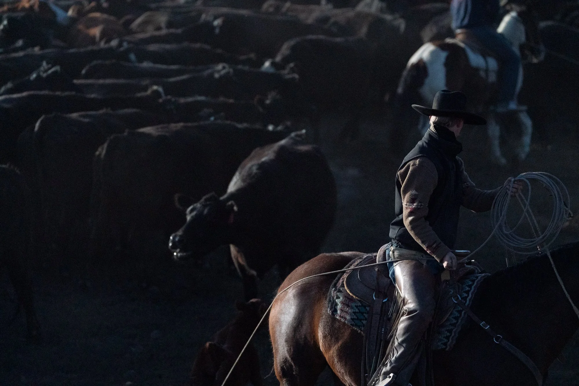 A cowboy on horseback holds a coiled rope while cattle move through low morning light at the ZX Ranch in Oregon