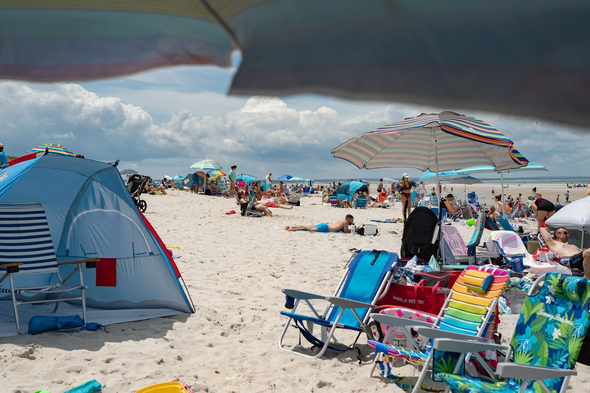 Crowded Cape Cod beach with umbrellas, chairs, and families relaxing on the sand during summer