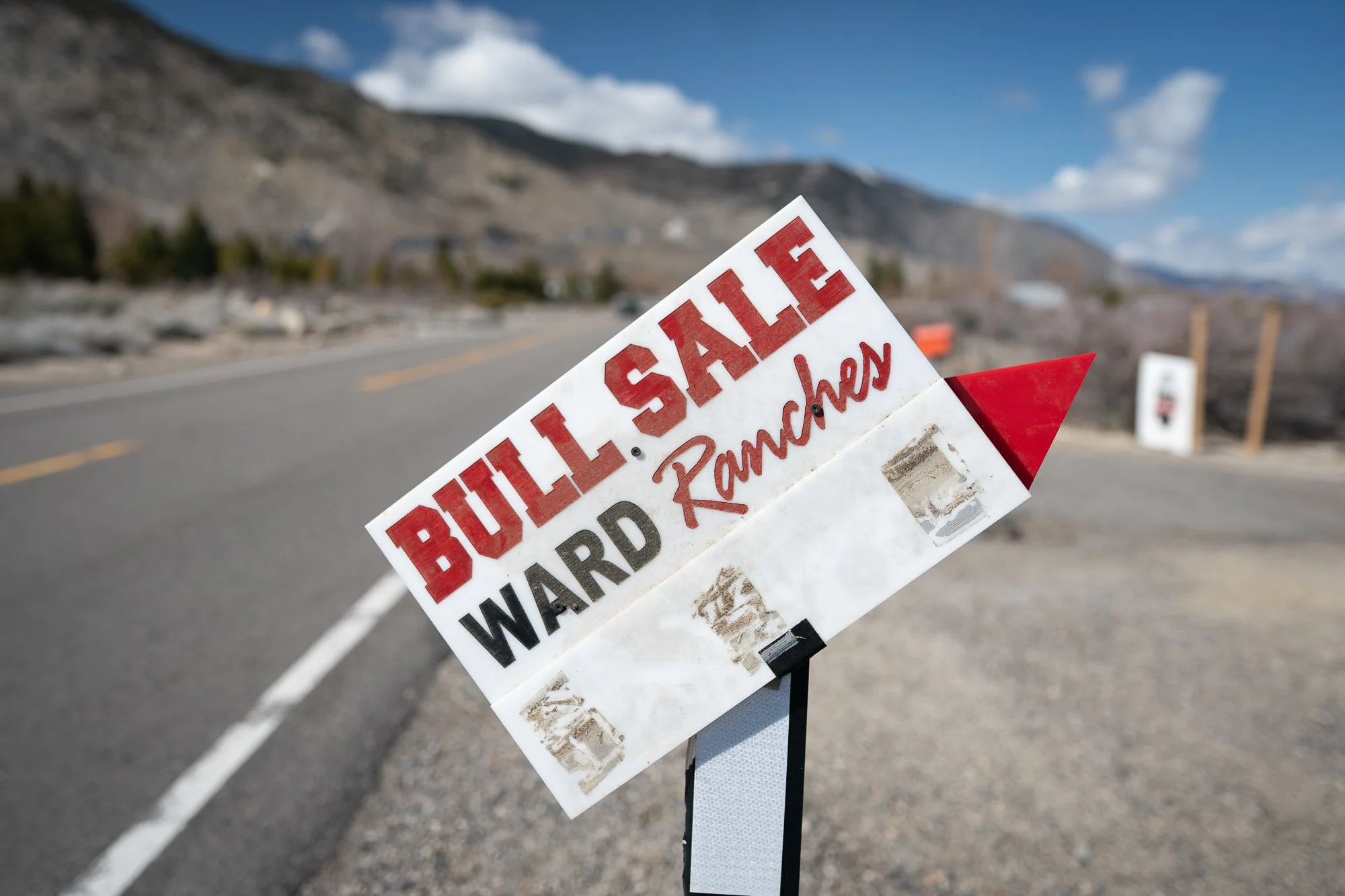 Ward Ranches bull sale sign along a road in Nevada