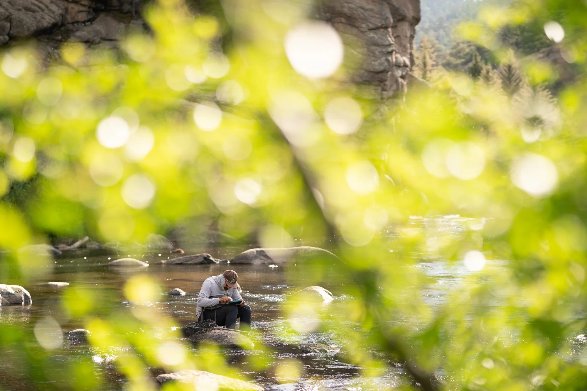 A fly angler sits on a rock in the river, working with gear through the trees